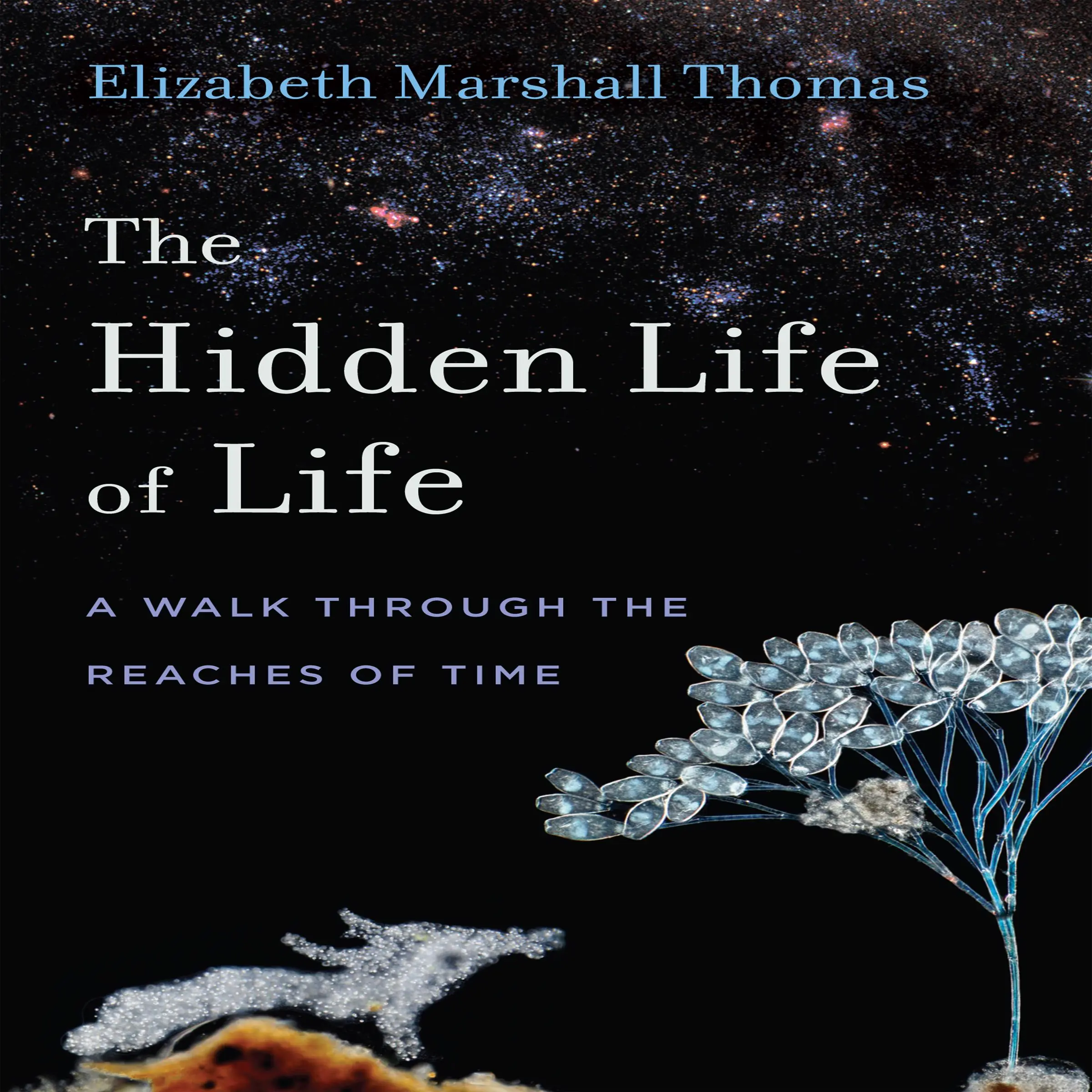 The Hidden Life of Life: A Walk through the Reaches of Time by Elizabeth Marshall Thomas Audiobook