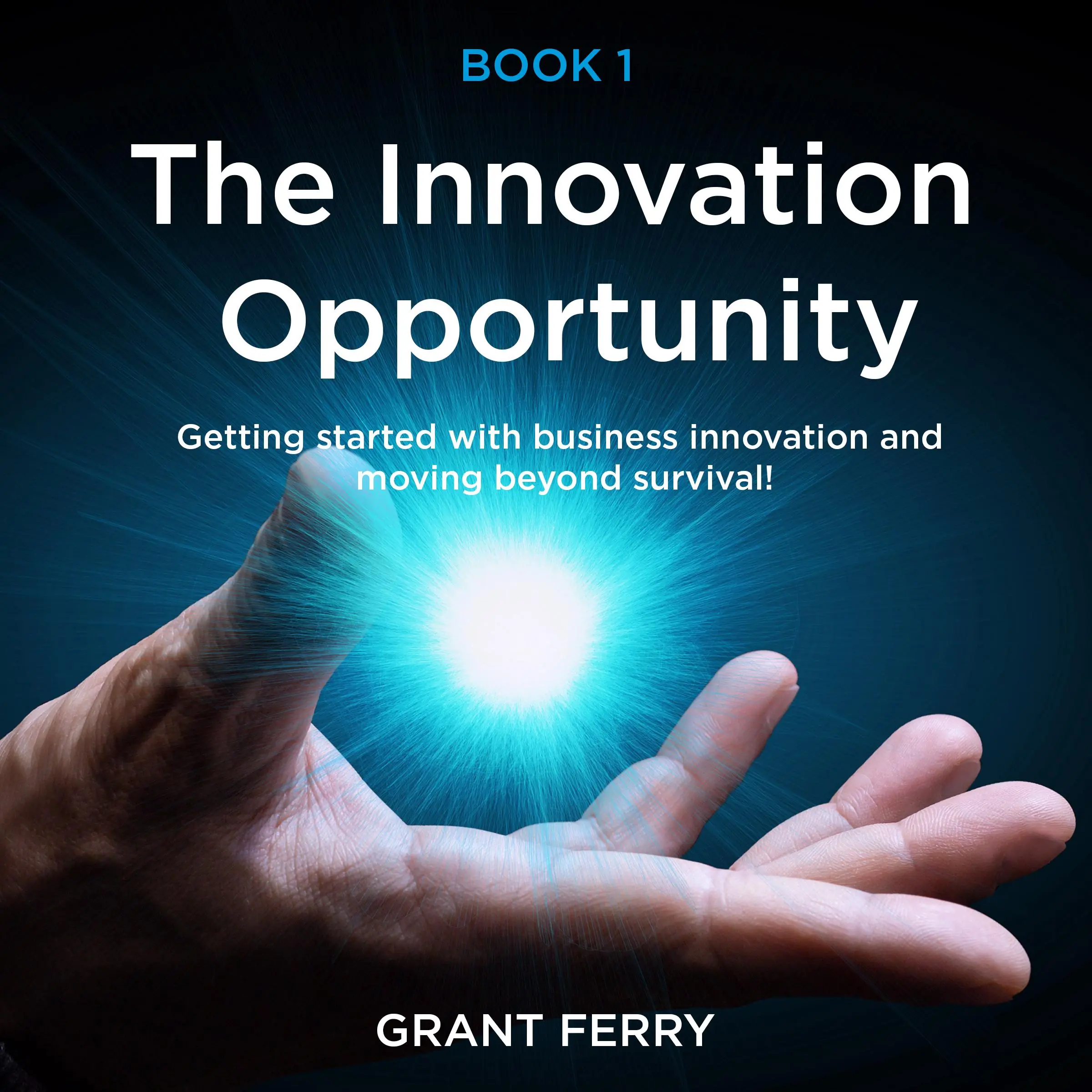 The Innovation Opportunity by Grant Ferry Audiobook