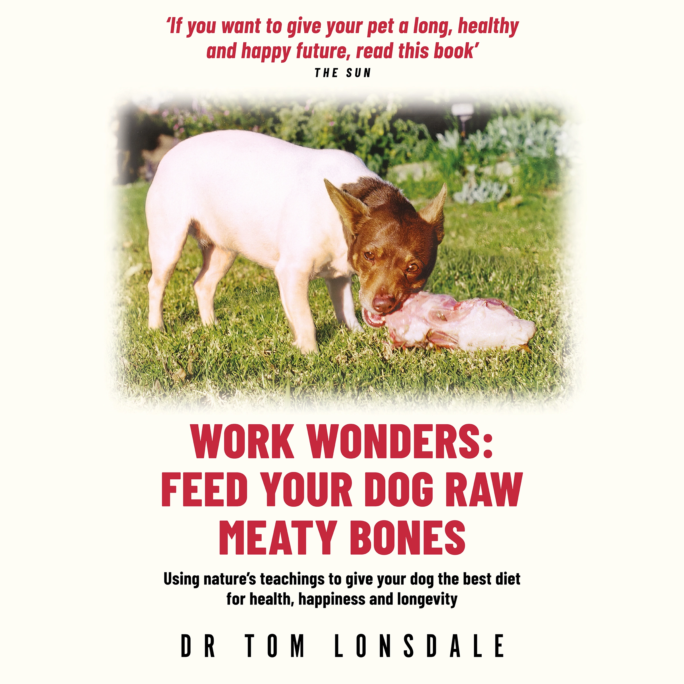 Work Wonders Audiobook by Dr. Tom Lonsdale