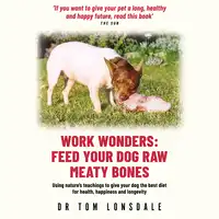 Work Wonders Audiobook by Dr. Tom Lonsdale