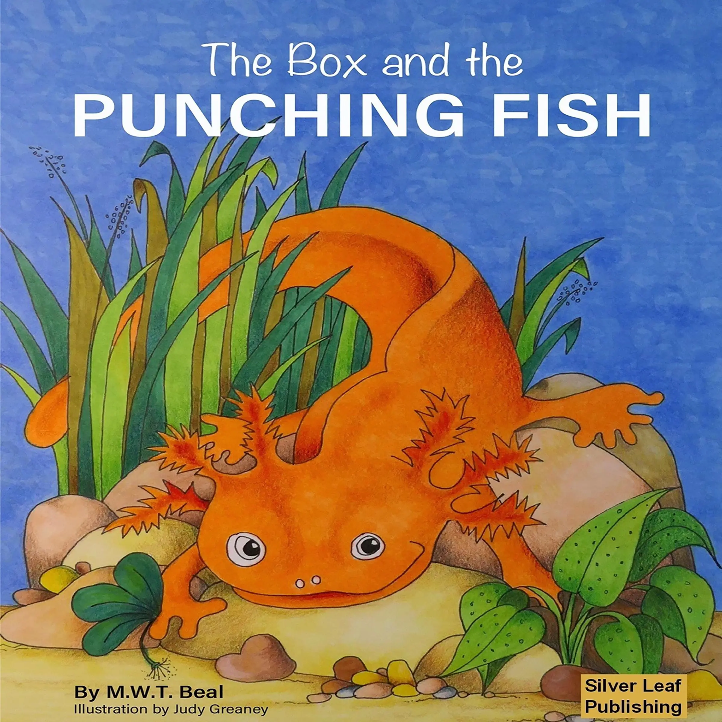 The Box and the Punching Fish Audiobook by Mark W T Beal