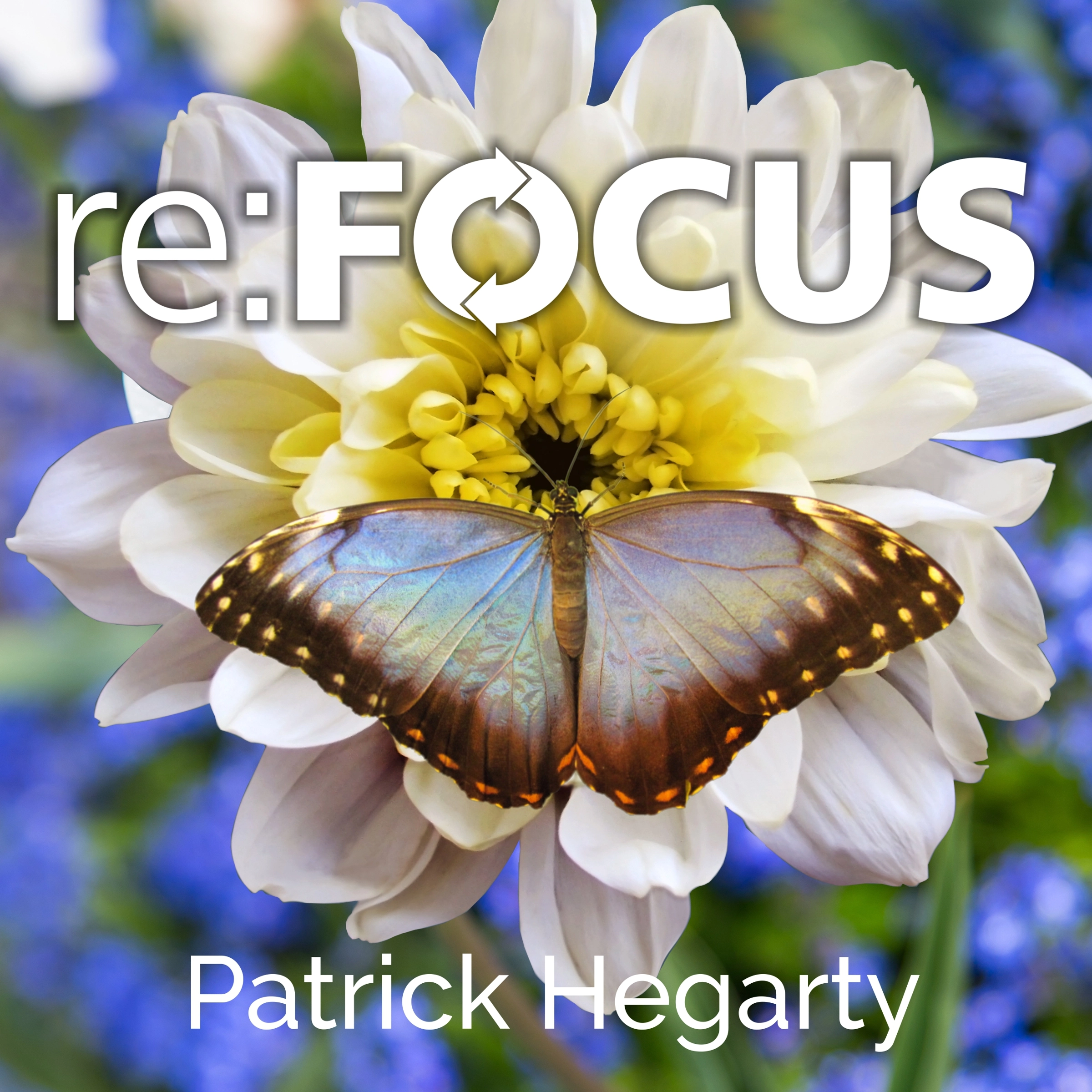 re:FOCUS Audiobook by Patrick Hegarty