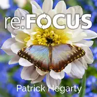 re:FOCUS Audiobook by Patrick Hegarty