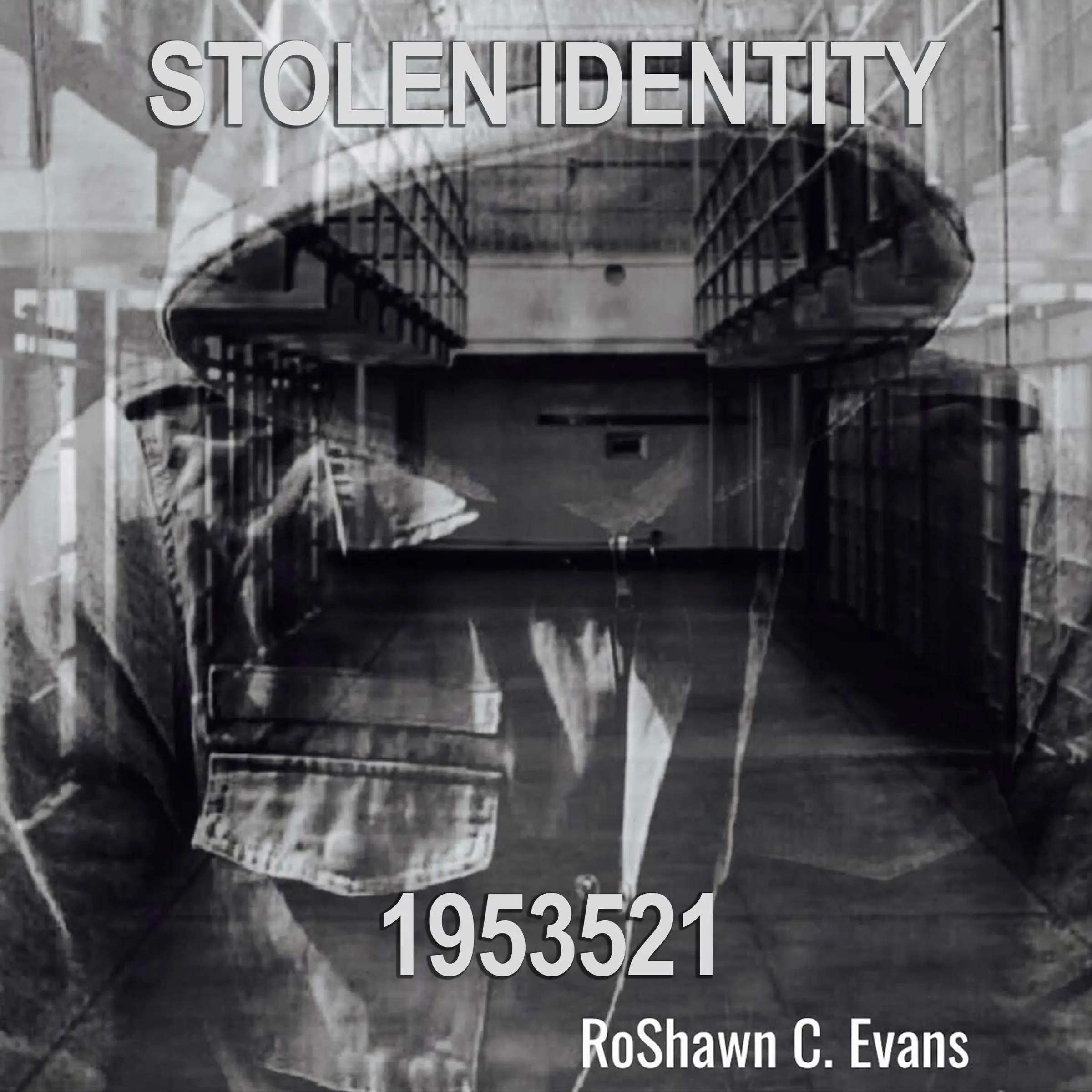 Stolen Identity by RoShawn C. Evans Audiobook