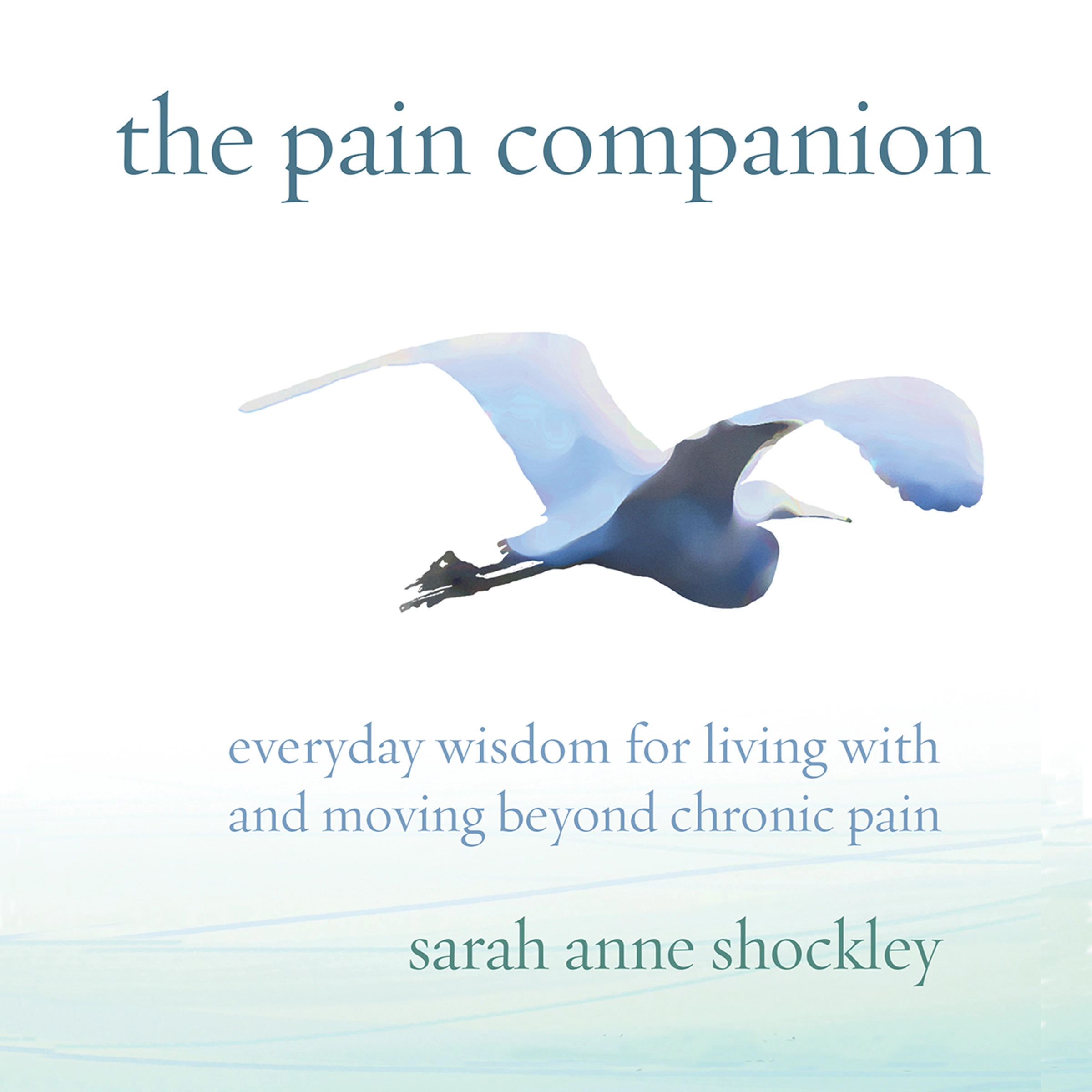 The Pain Companion Audiobook by Sarah Anne Shockley