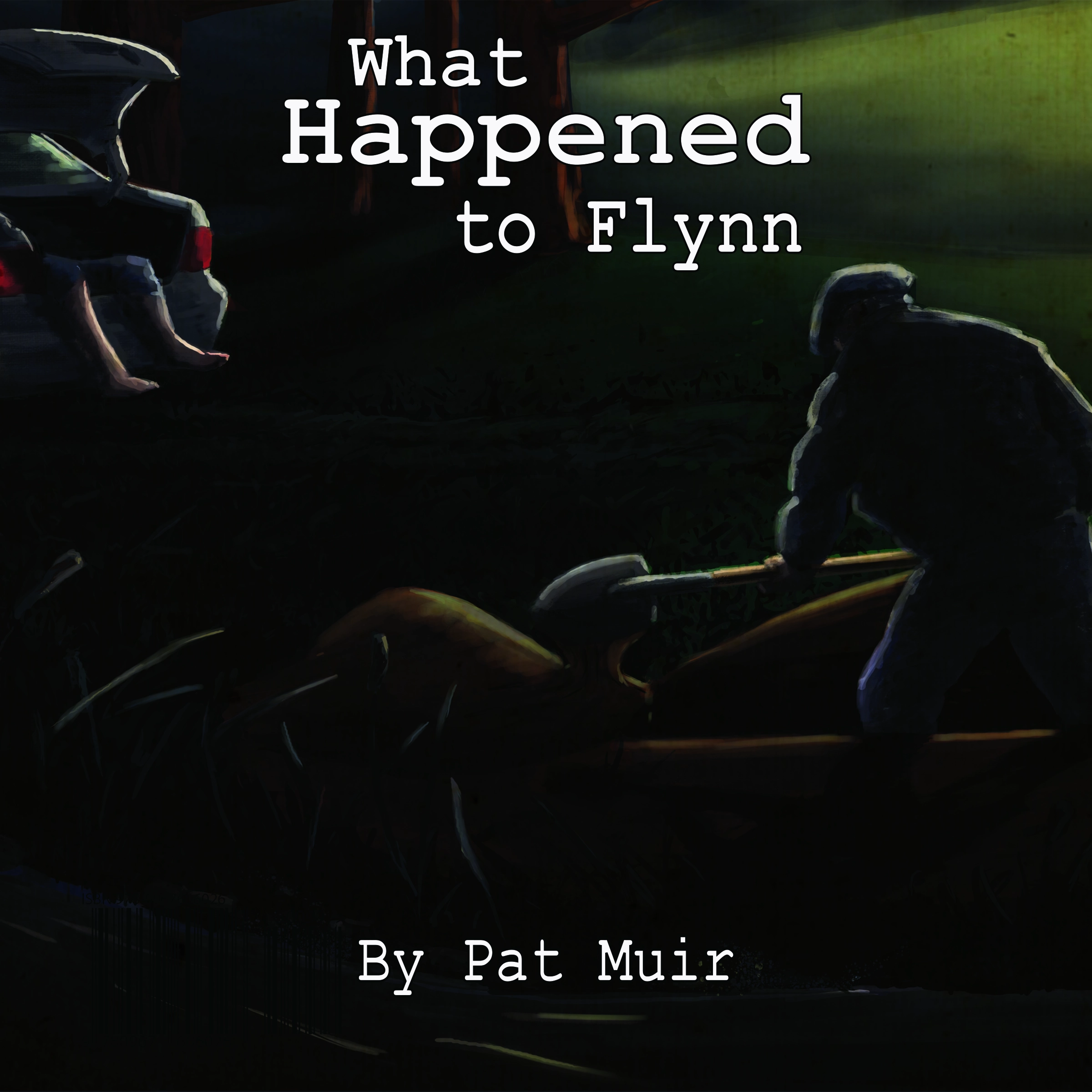 What Happened To Flynn Audiobook by Pat Muir