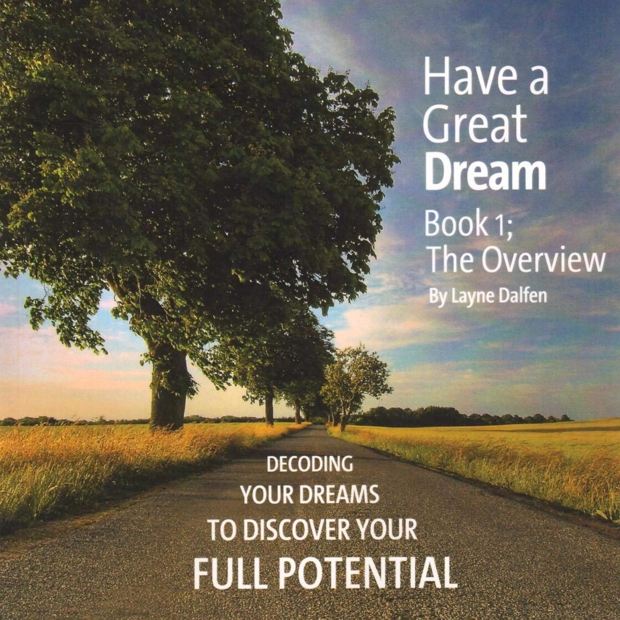 Have A Great Dream, Book 1; The Overview Audiobook by Layne Dalfen