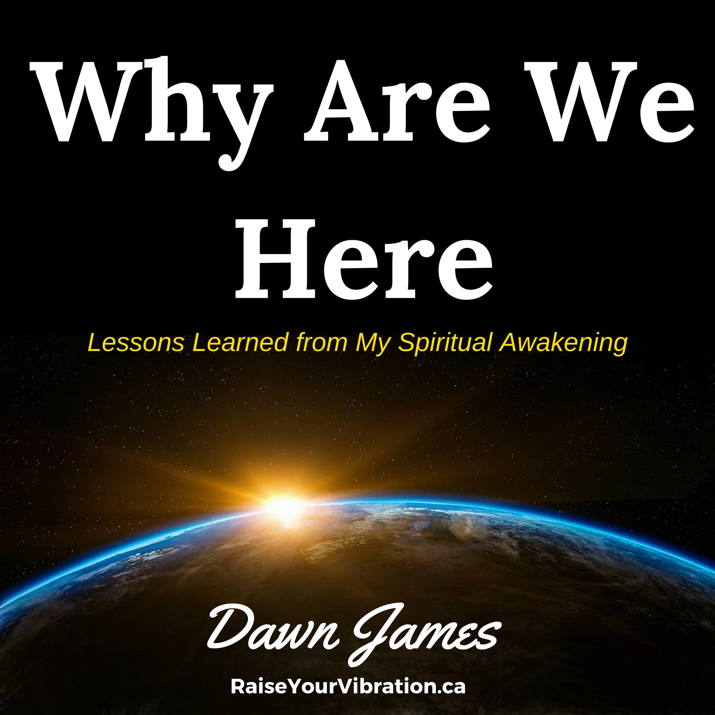 Why Are We Here Audiobook by Dawn James