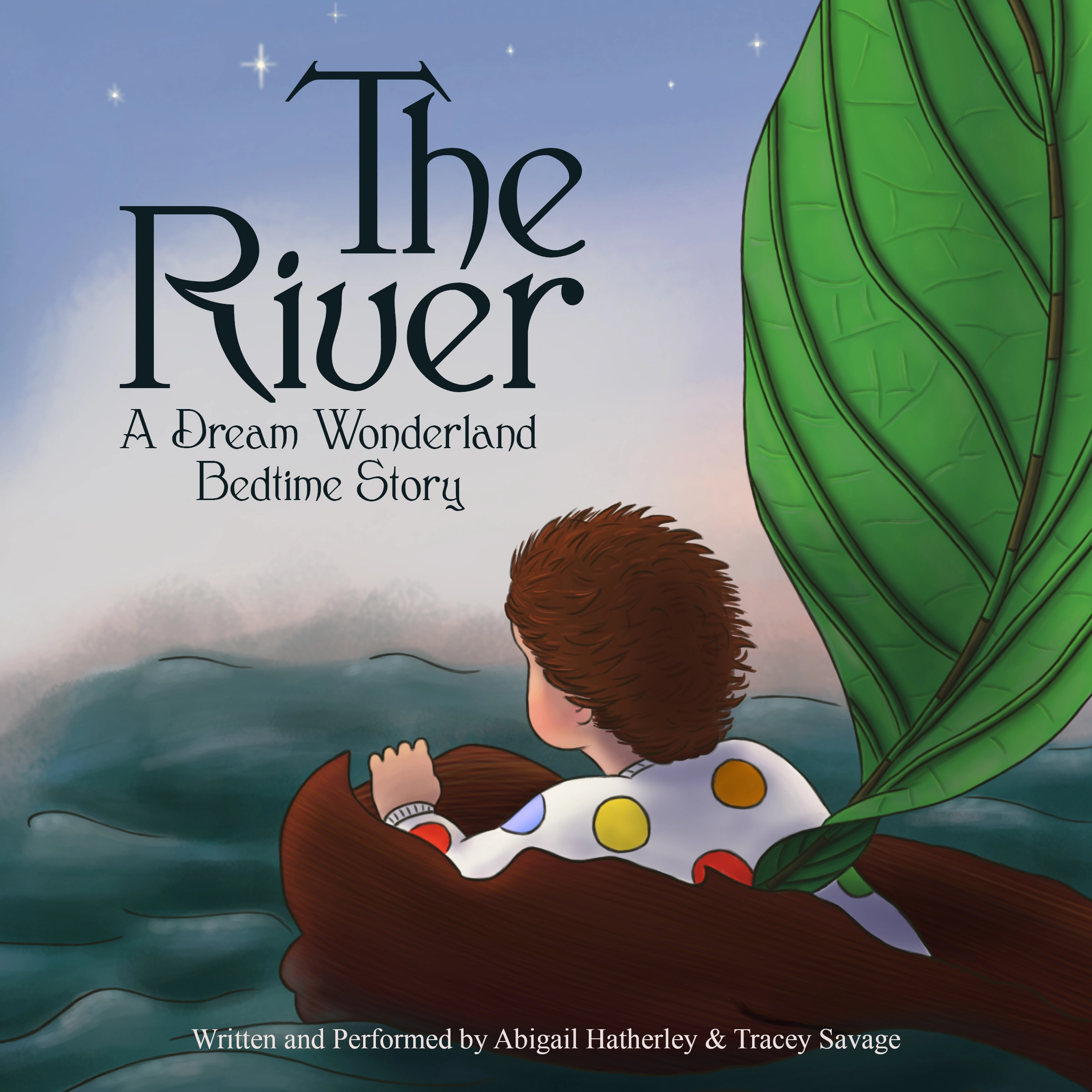 The River Audiobook by Tracey Savage