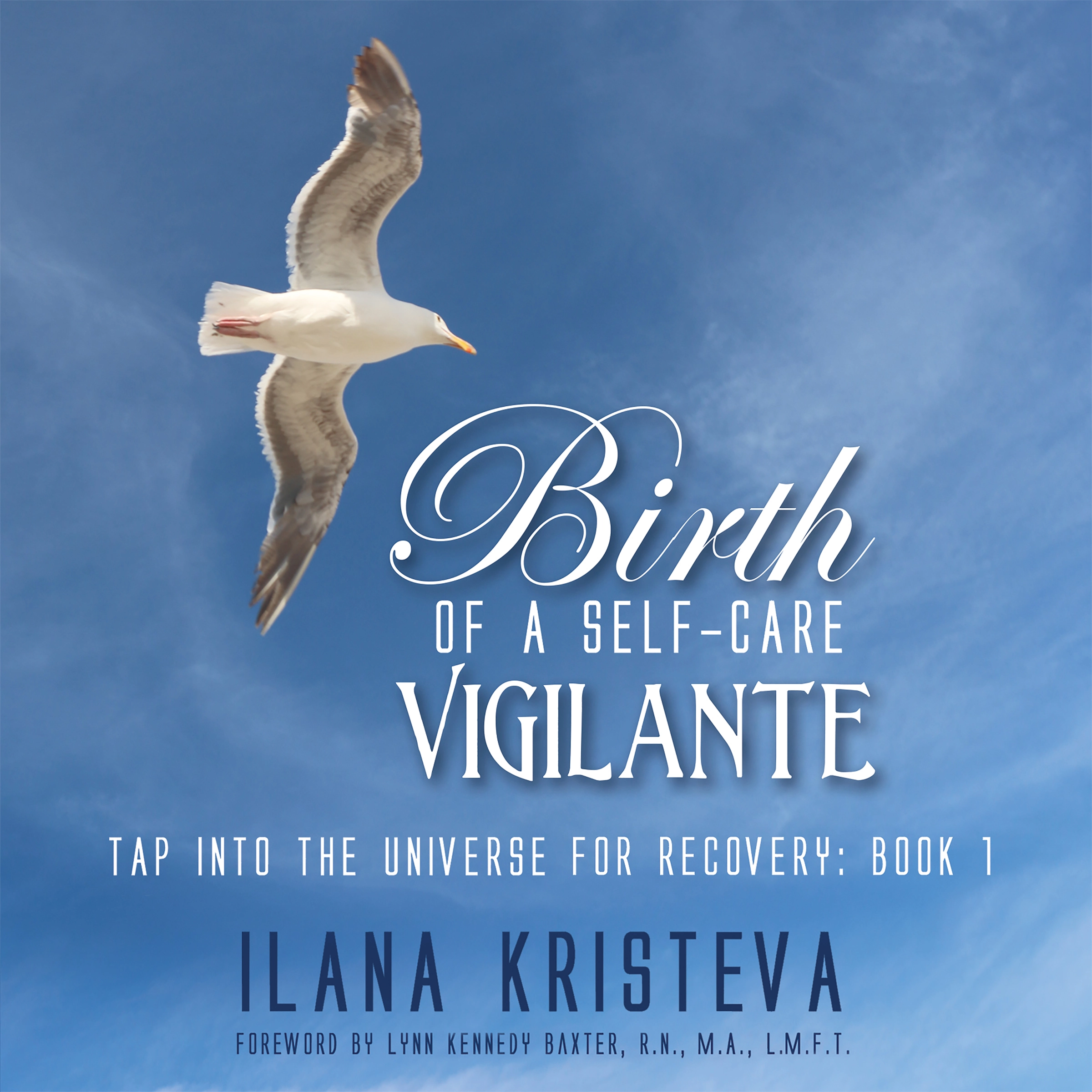 Birth of a Self-Care Vigilante by Ilana Kristeva Audiobook