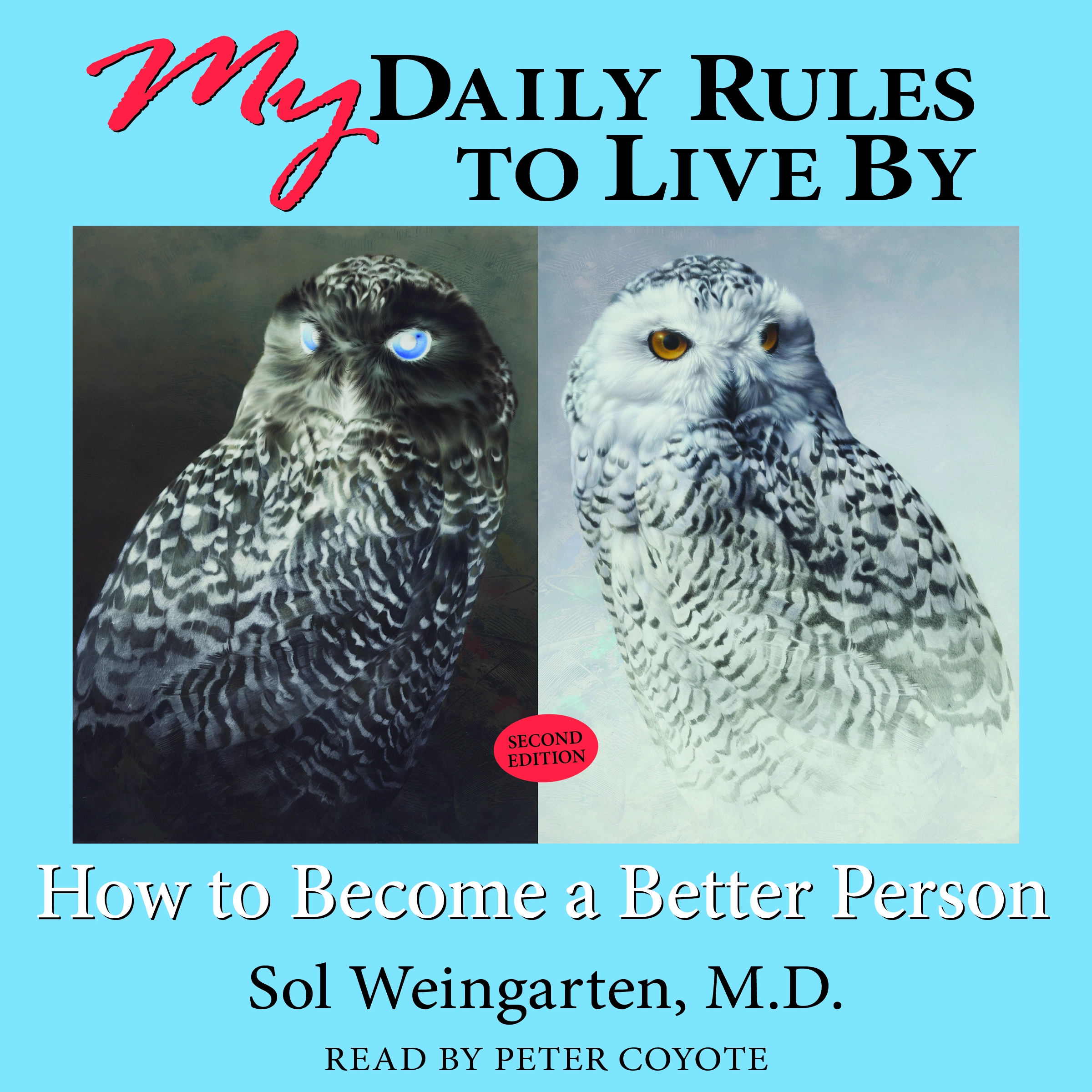 My Daily Rules to Live By: How to Become a Better Person Audiobook by M.D.