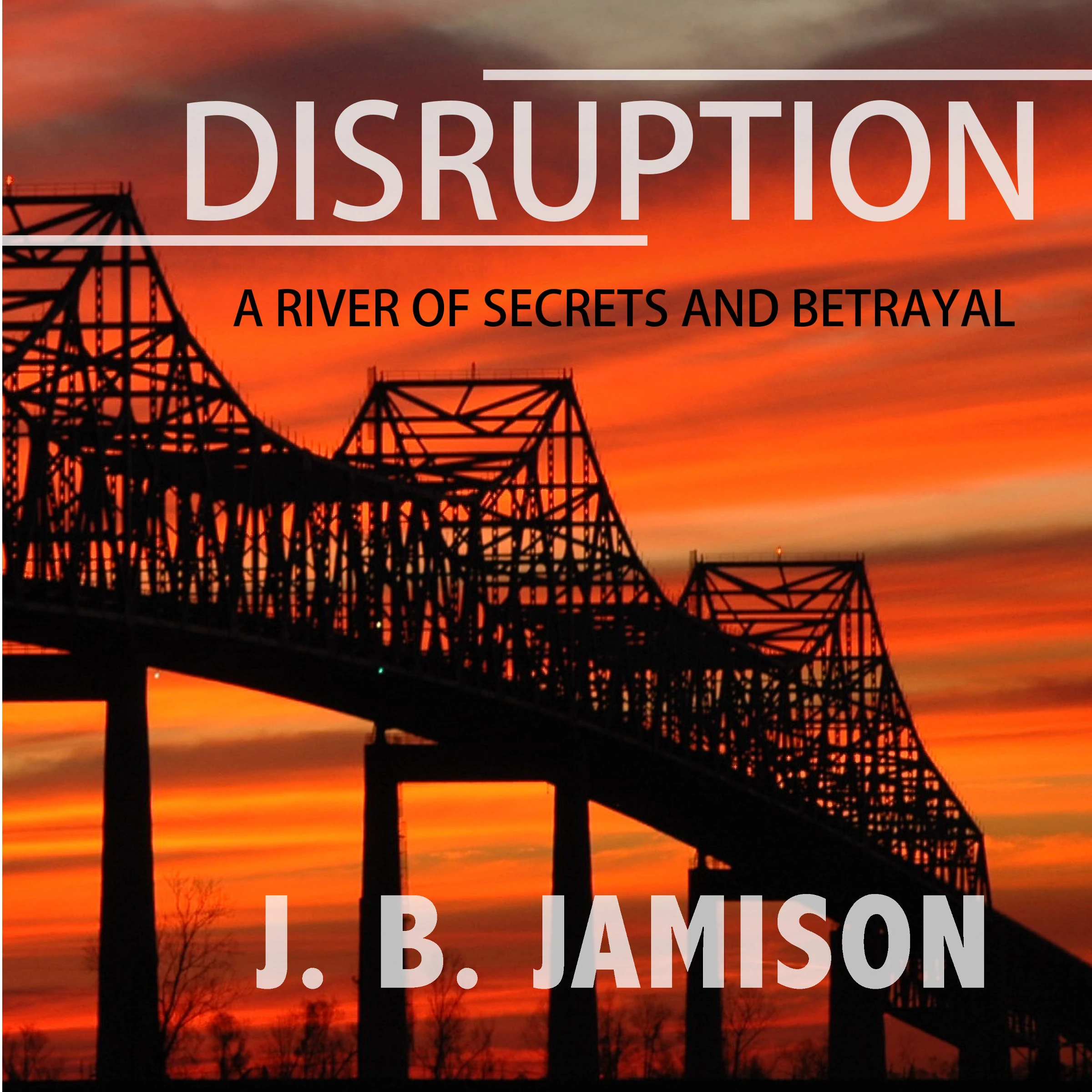 Disruption Audiobook by J. B. Jamison