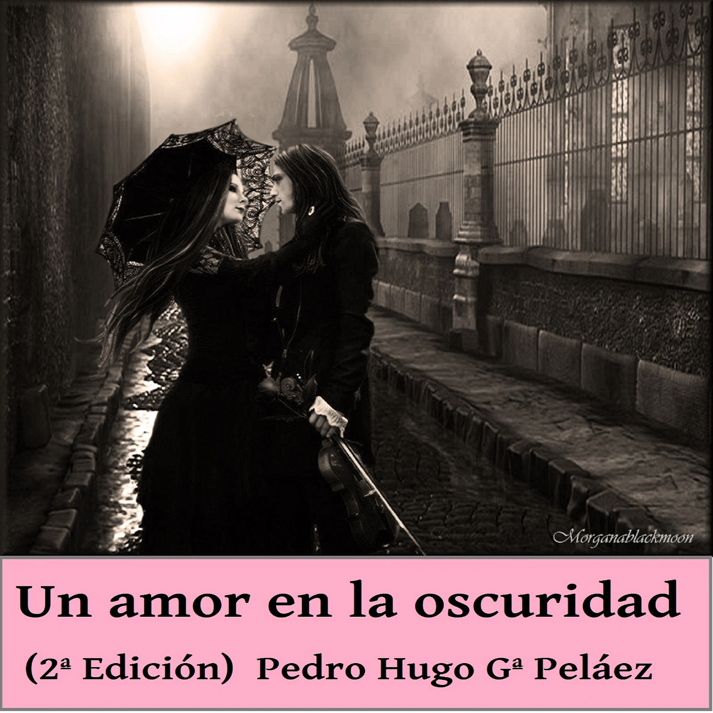 Un amor en la oscuridad (Historia de un amor moderno) 2ª edición Audiobook by Pedro Hugo García Peláez