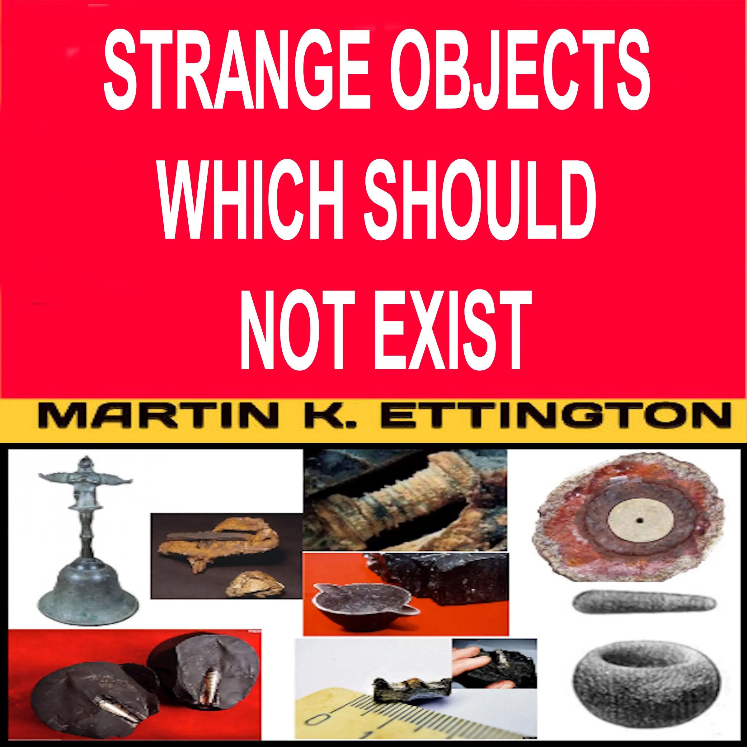 Strange Objects Which Should Not Exist Audiobook by Martin K. Ettington