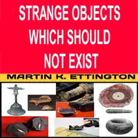 Strange Objects Which Should Not Exist Audiobook by Martin K. Ettington