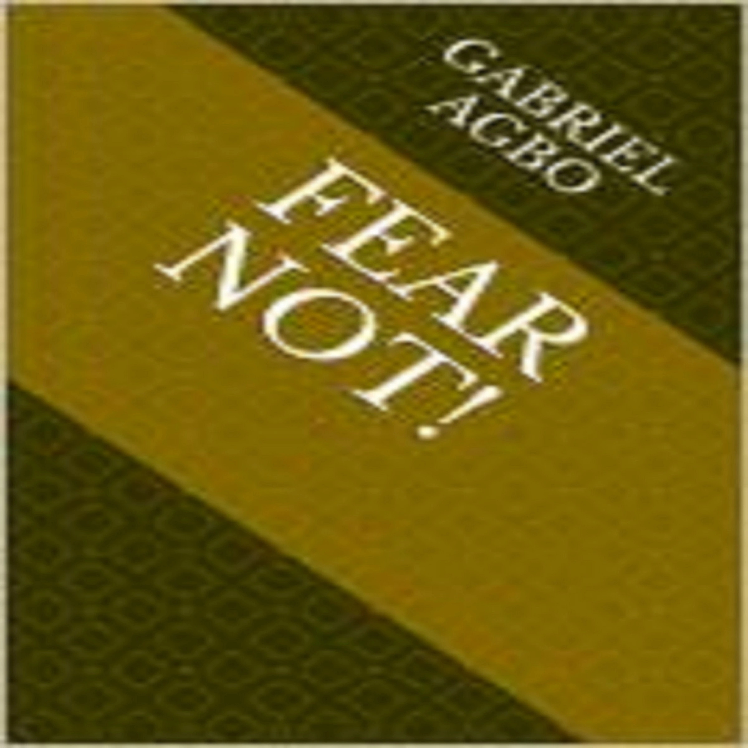 Fear Not! by Gabriel  Agbo Audiobook