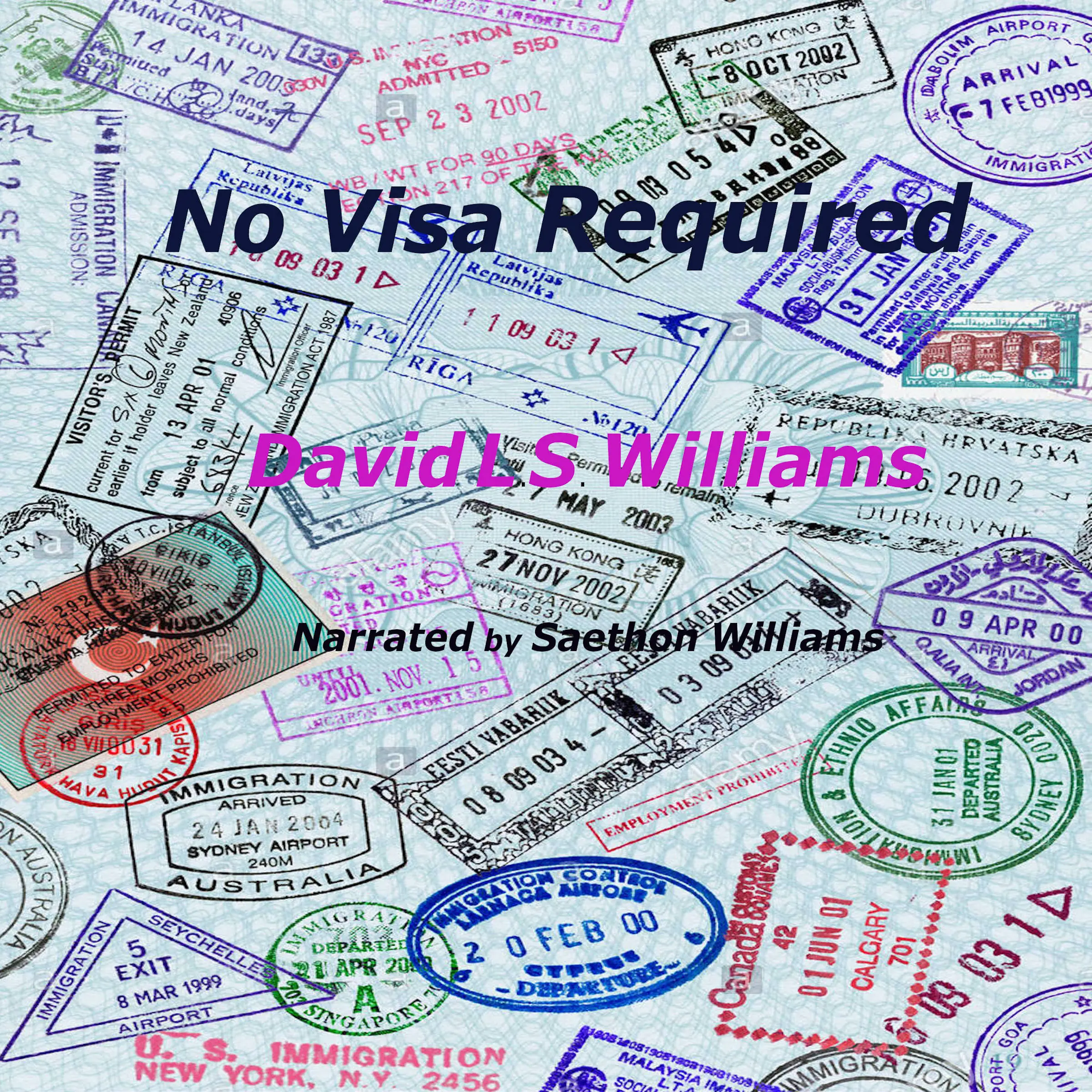 No Visa Required by David Williams Audiobook