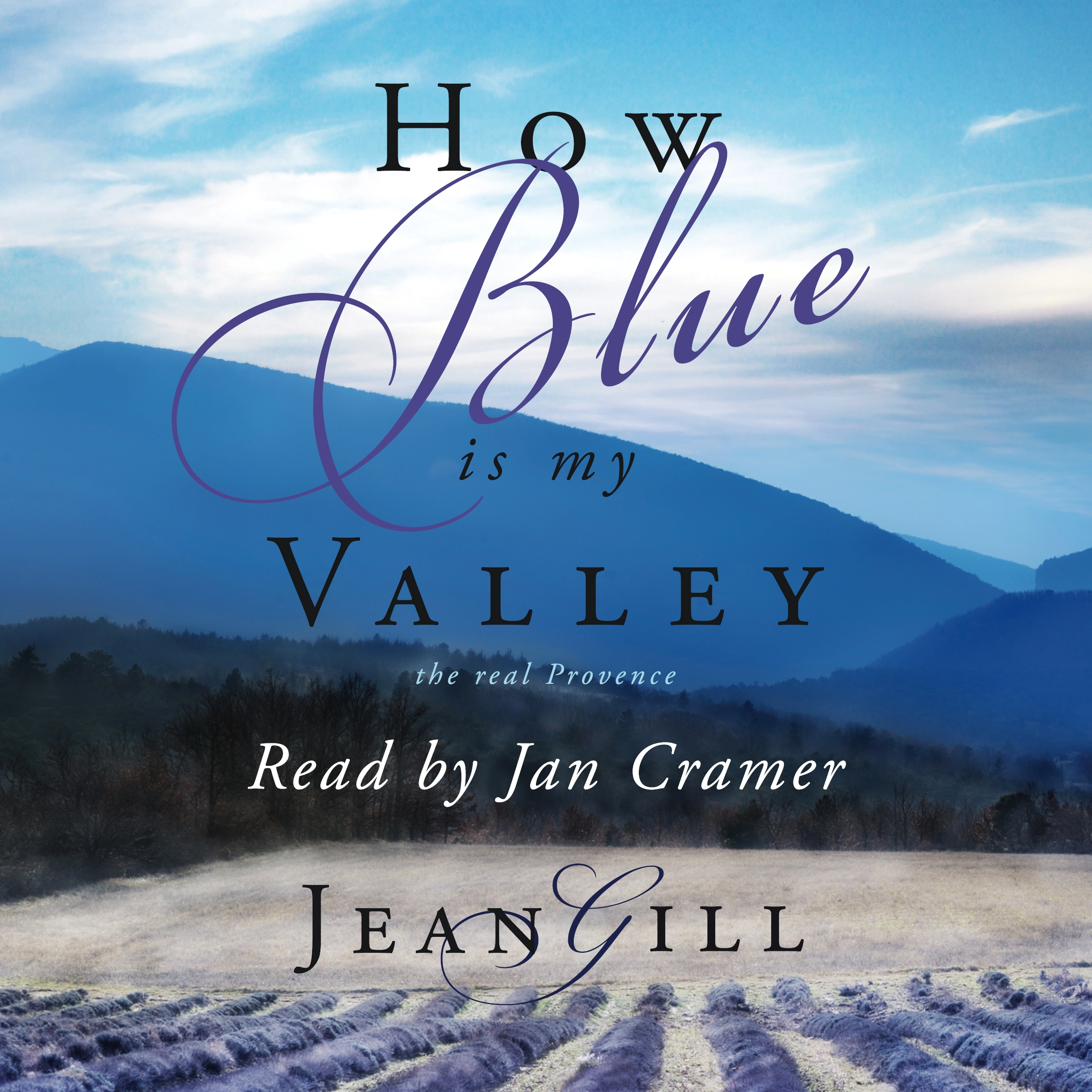 How Blue is My Valley Audiobook by Jean Gill