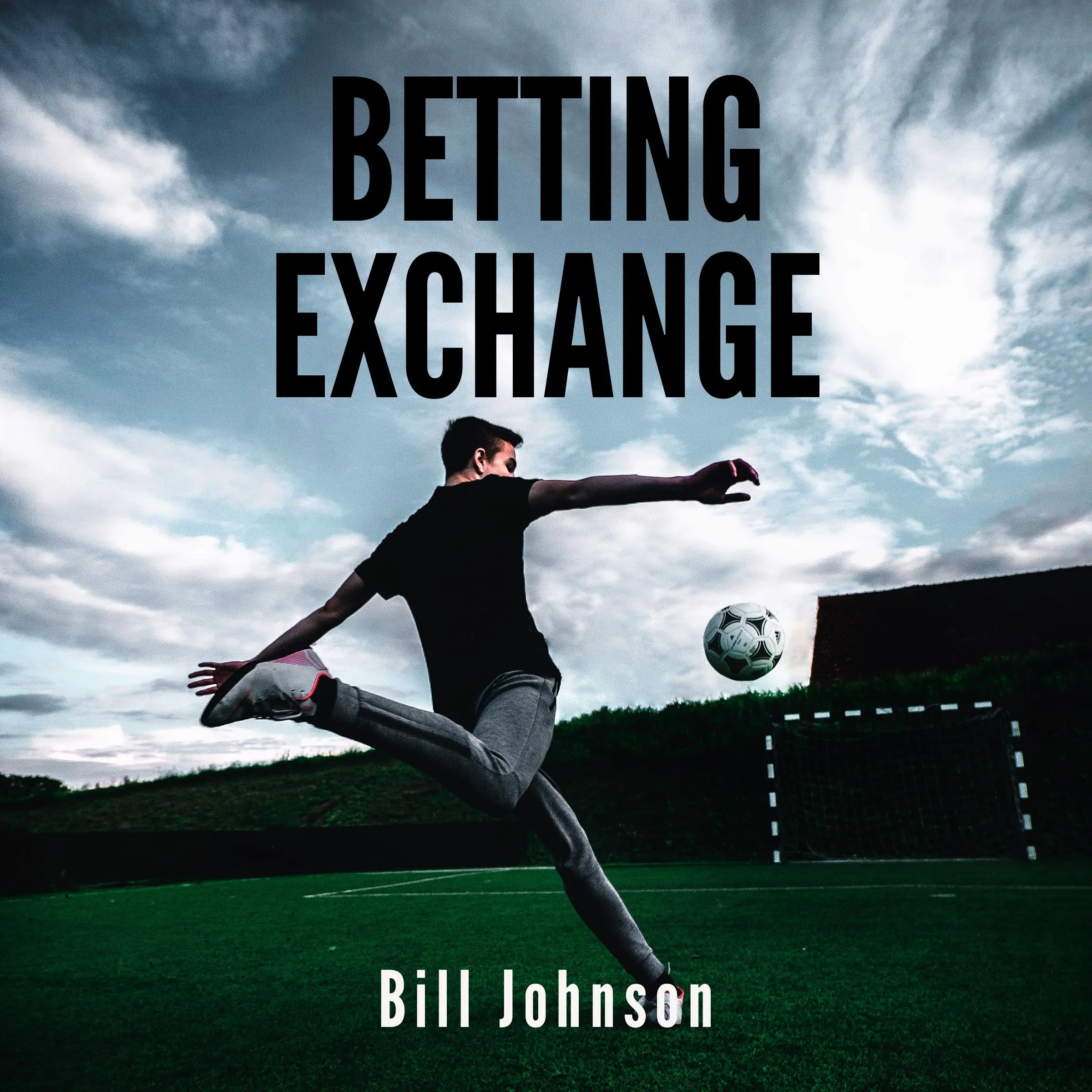 BETTING EXCHANGE Strategies to win with sport bets Audiobook by BILL JOHNSON