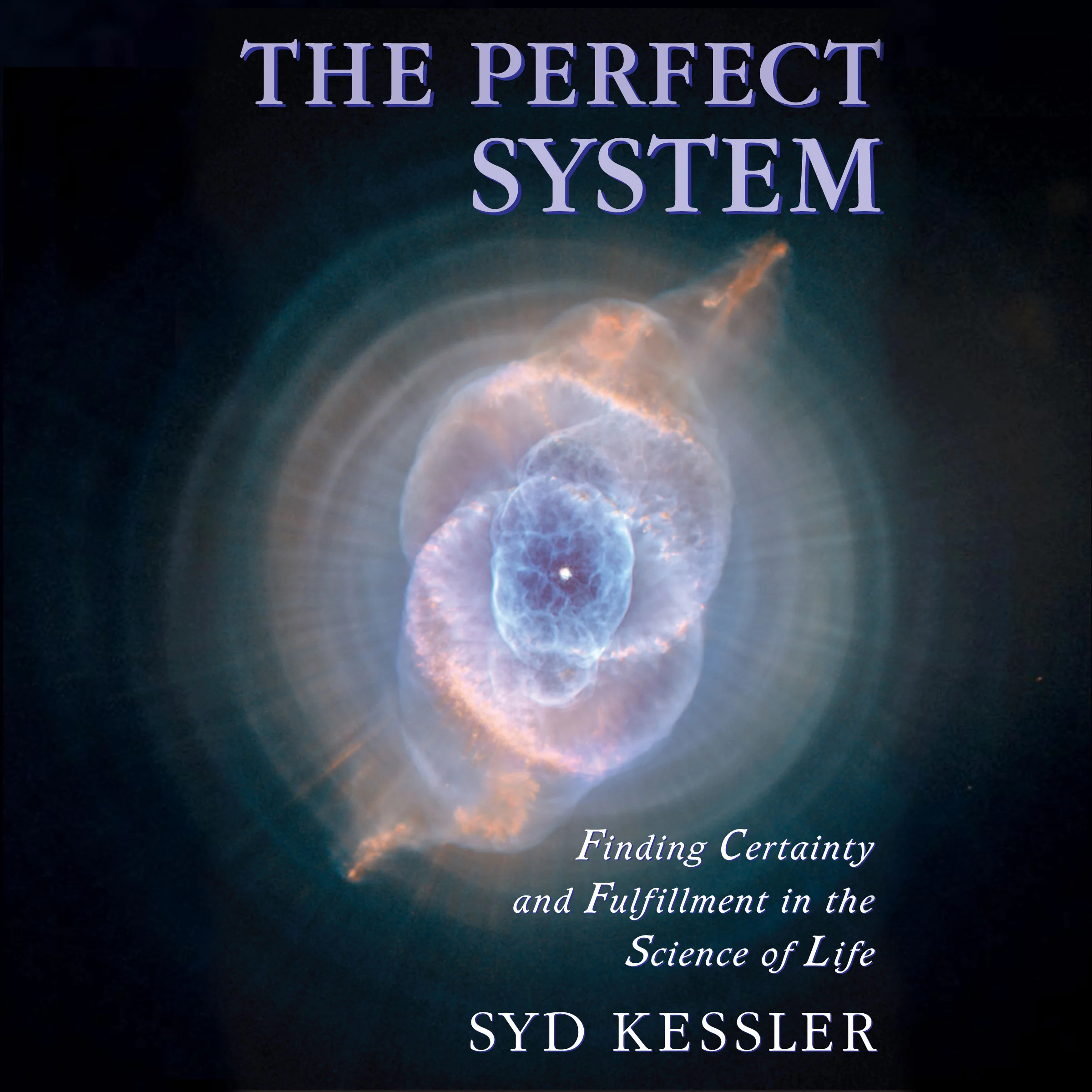 The Perfect System by Syd Kessler Audiobook