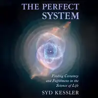 The Perfect System Audiobook by Syd Kessler