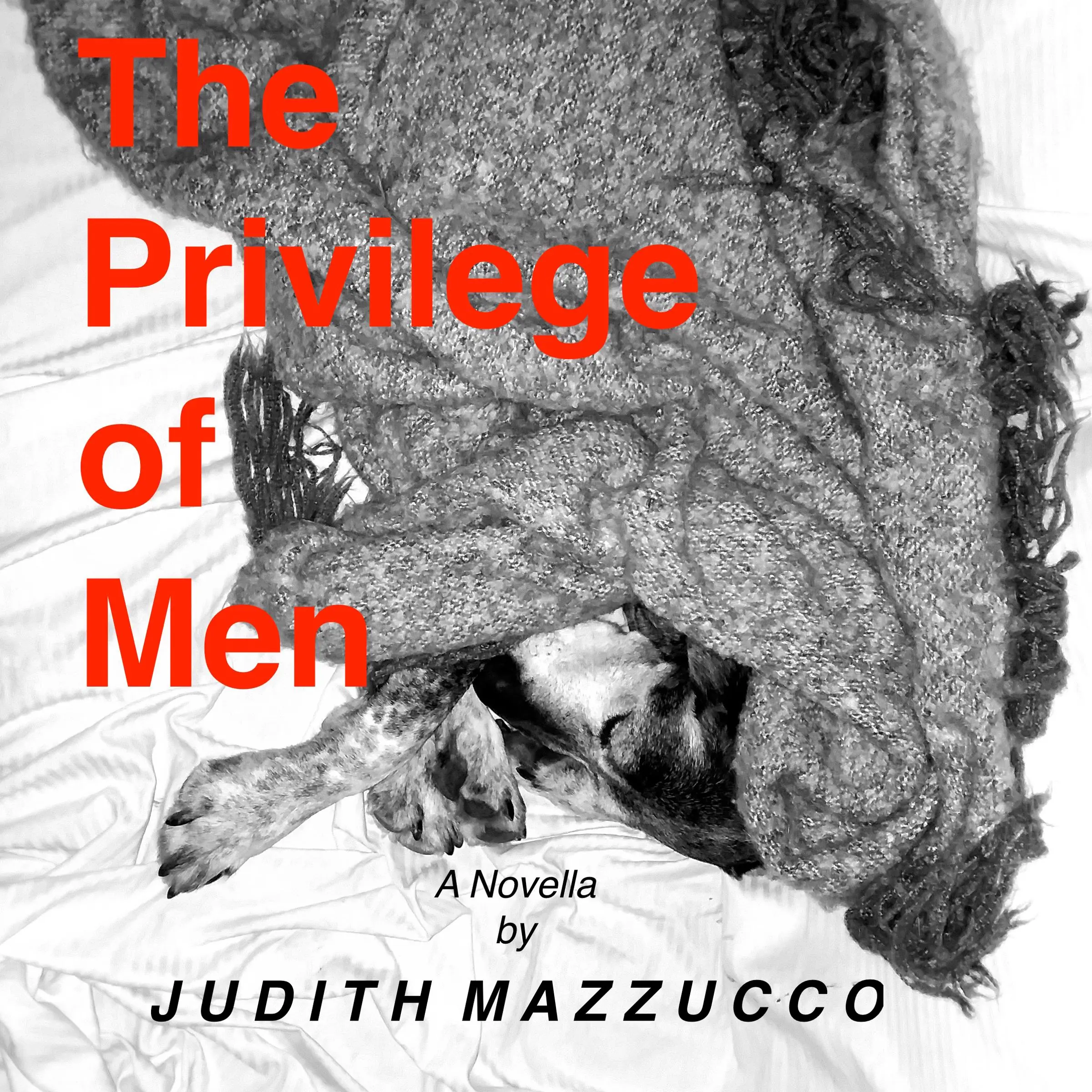 The Privilege of Men by Judith Mazzucco Audiobook