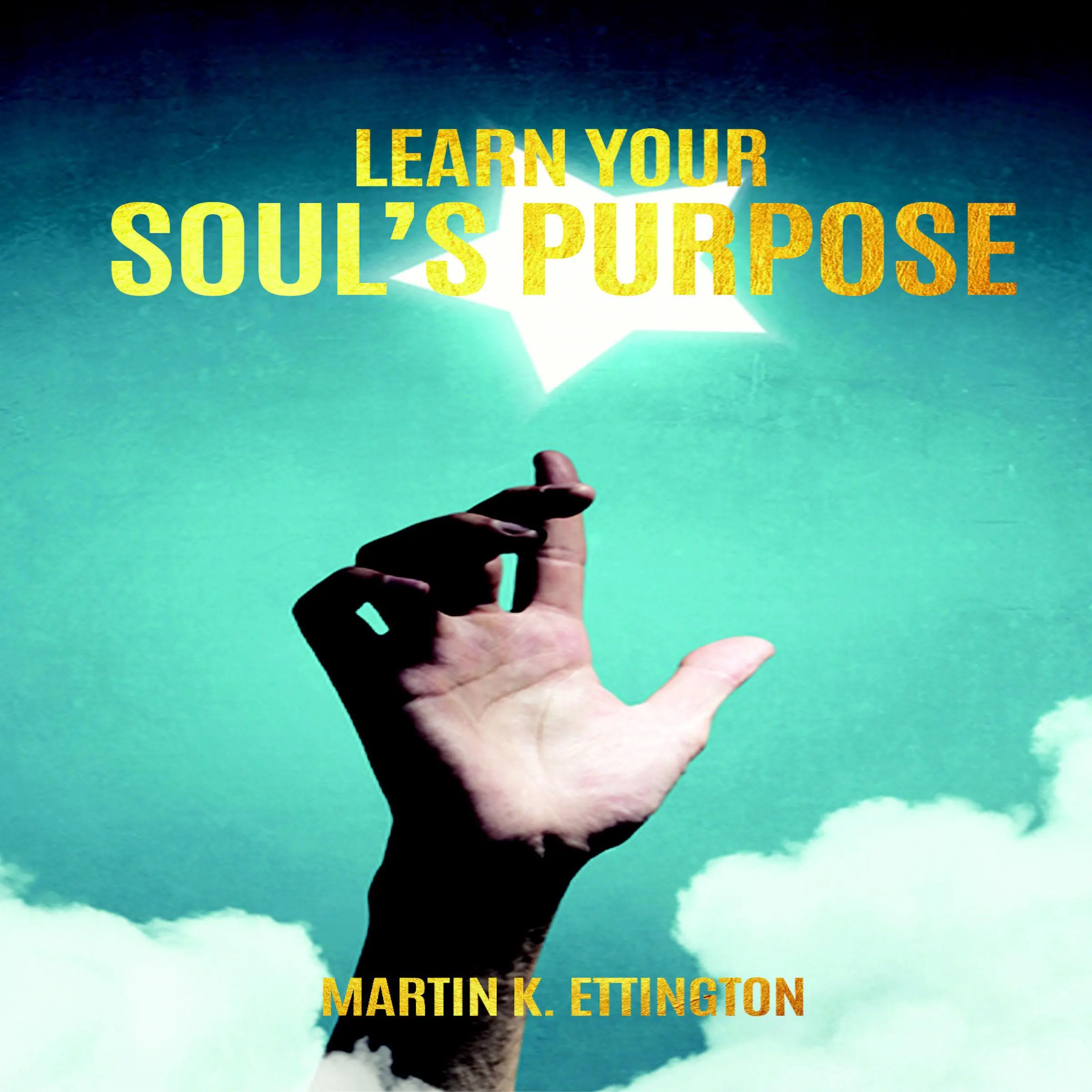 Learn Your Soul's Purpose by Martin K Ettington