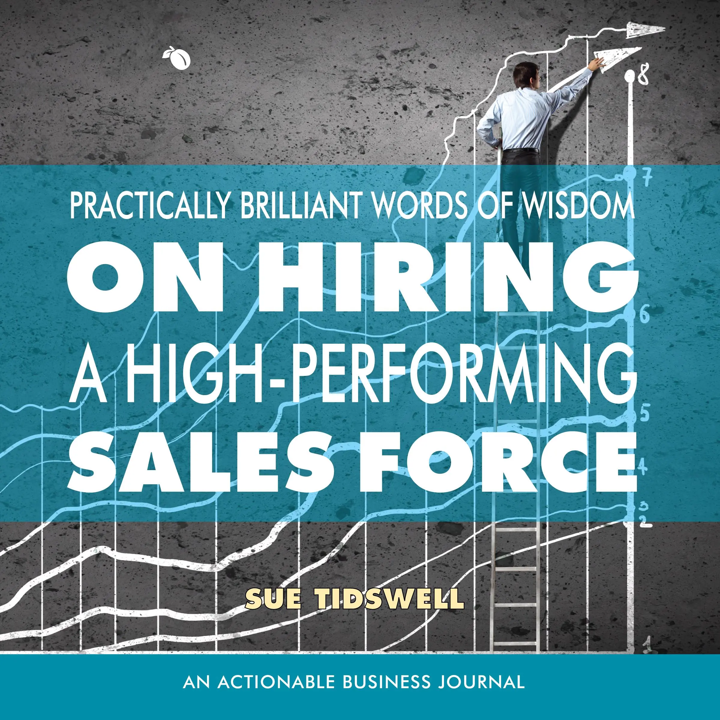 Practically Brilliant Words of Wisdom on Hiring a High-Performing Sales Force Audiobook by Sue Tidswell