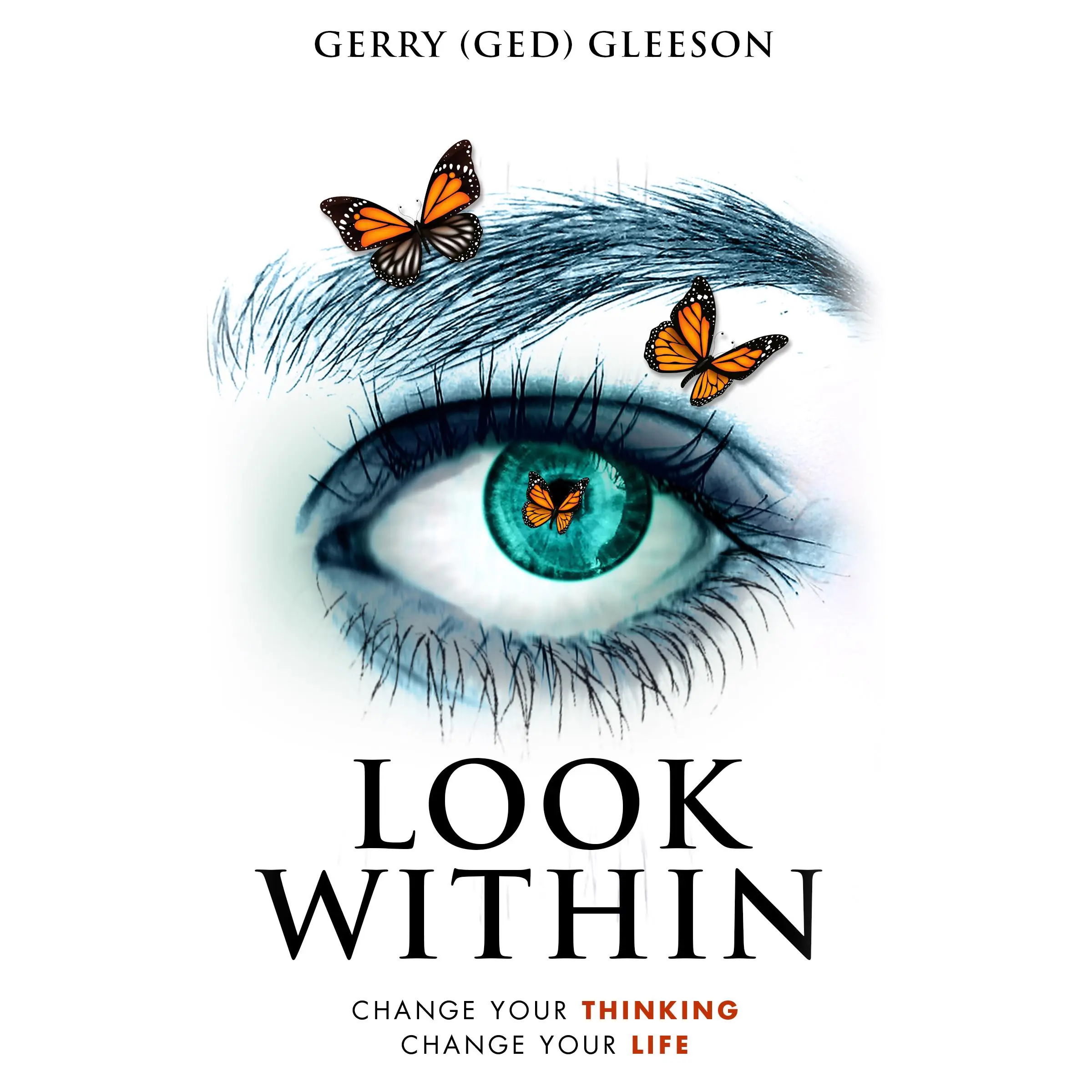 Look Within Audiobook by Gerry Gleeson