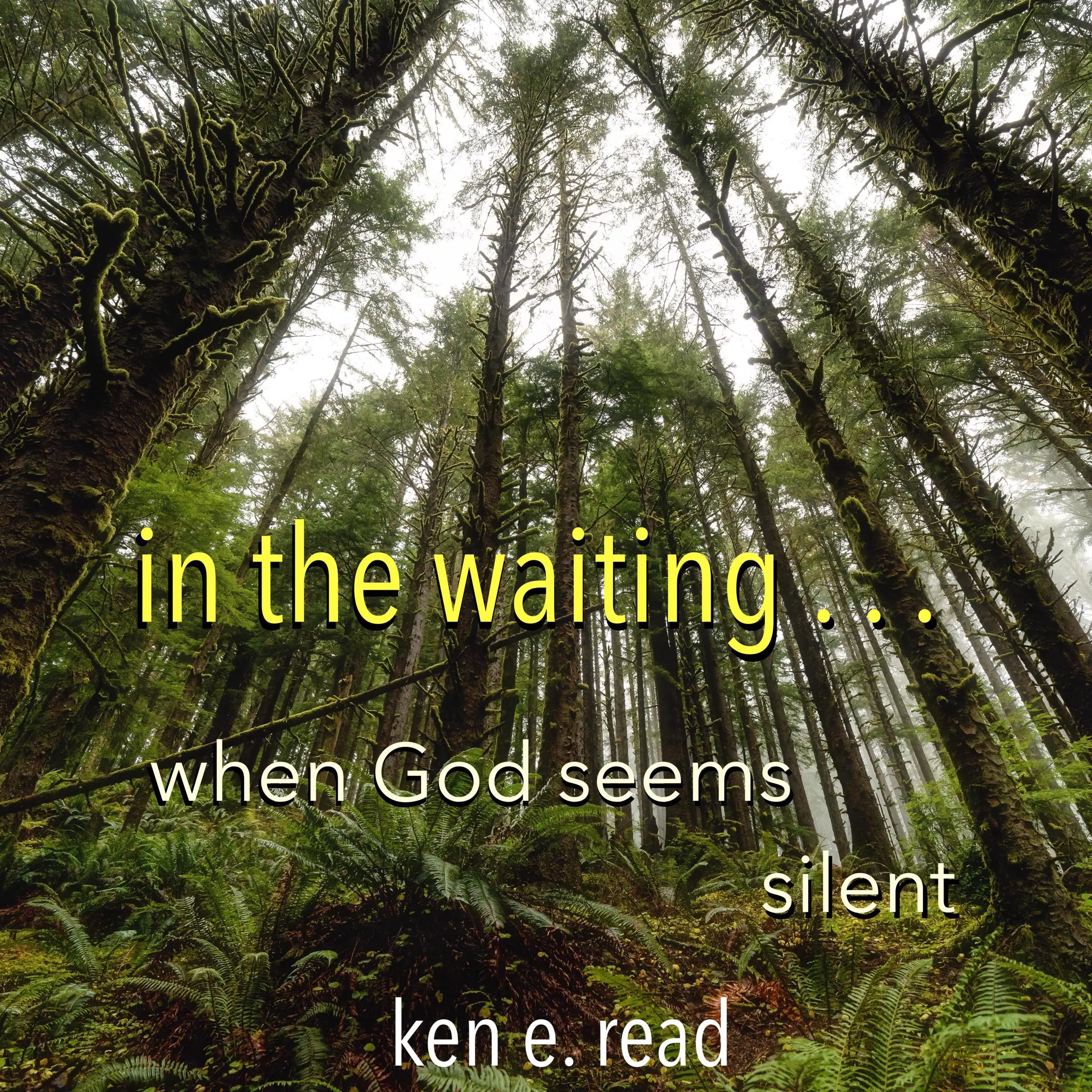 in the waiting . . . by ken e. read