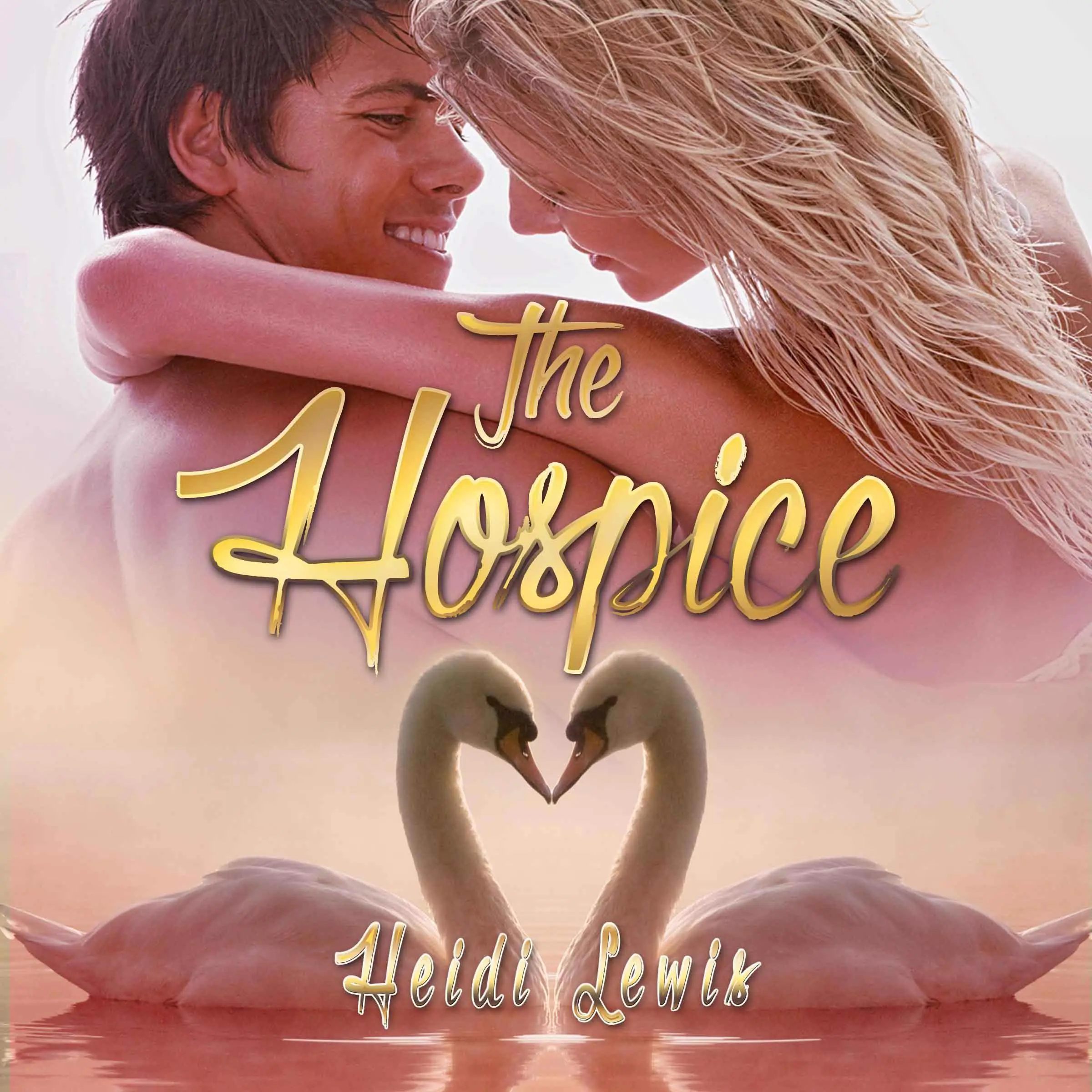 The Hospice Audiobook by Heidi Lewis