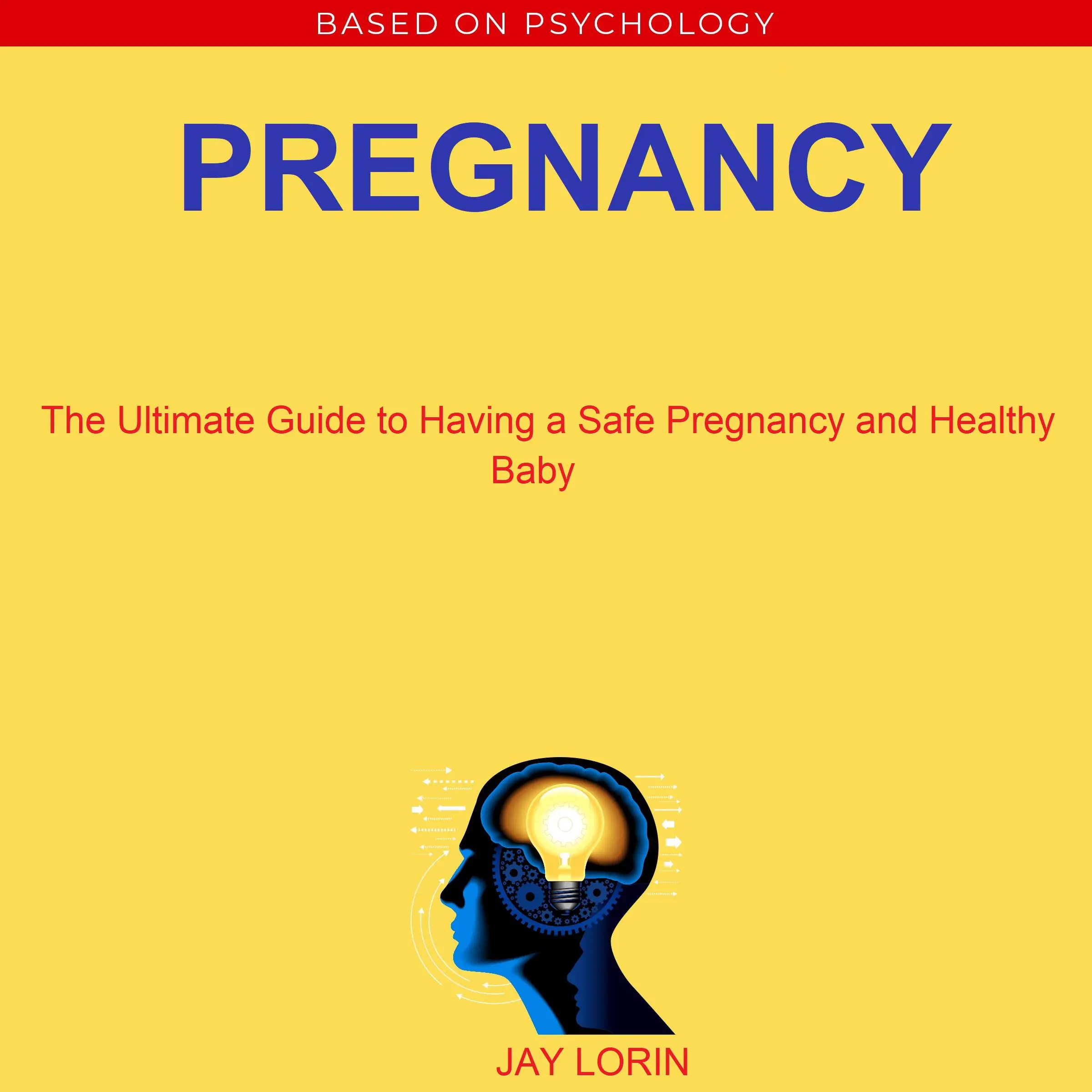 Pregnancy:  The Ultimate Guide to Having a Safe Pregnancy and Healthy Baby by Jay Lorin Audiobook