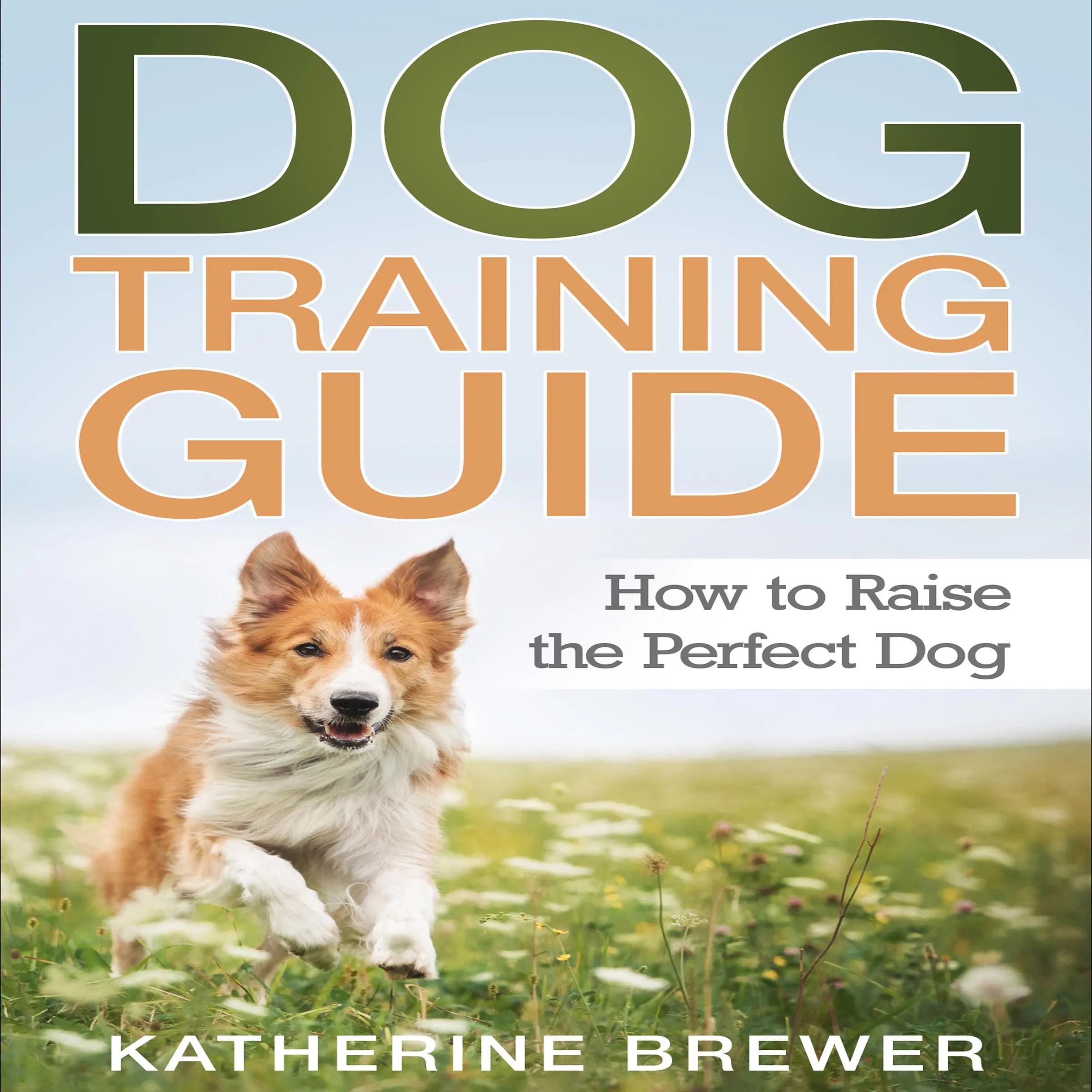 Dog Training Guide: How to Raise the Perfect Dog Audiobook by Katherine Brewer