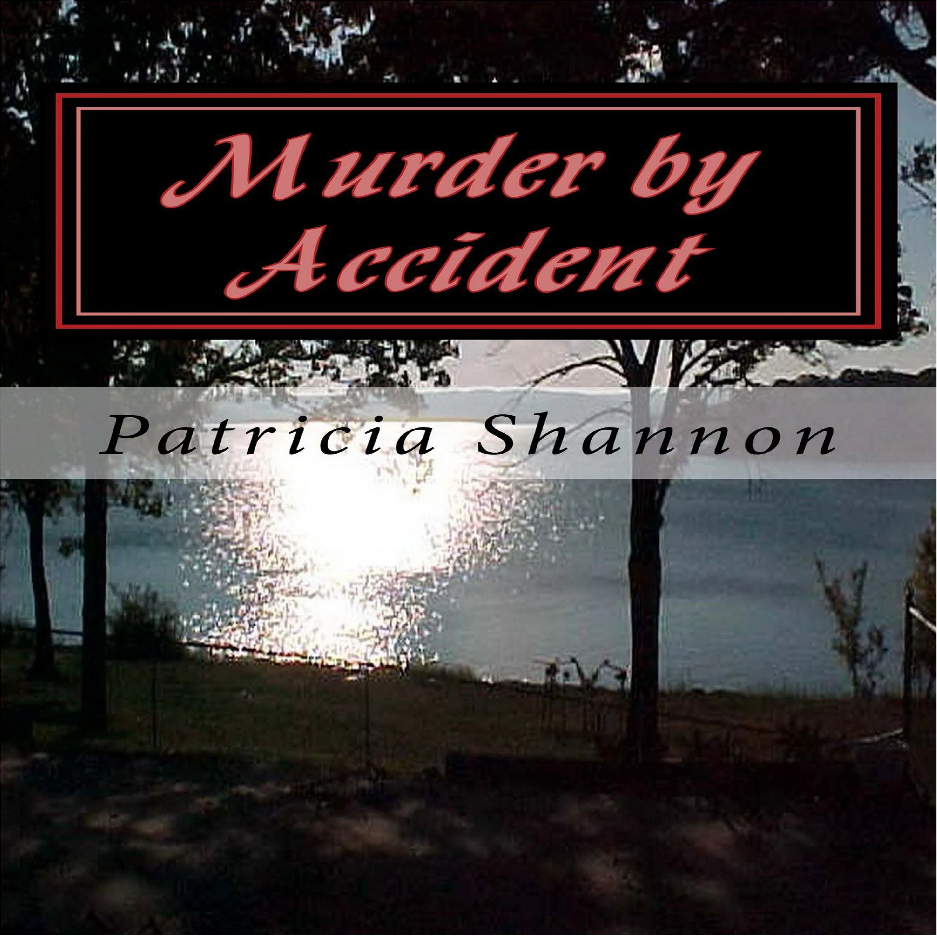 Murder by Accident by Patricia Shannon