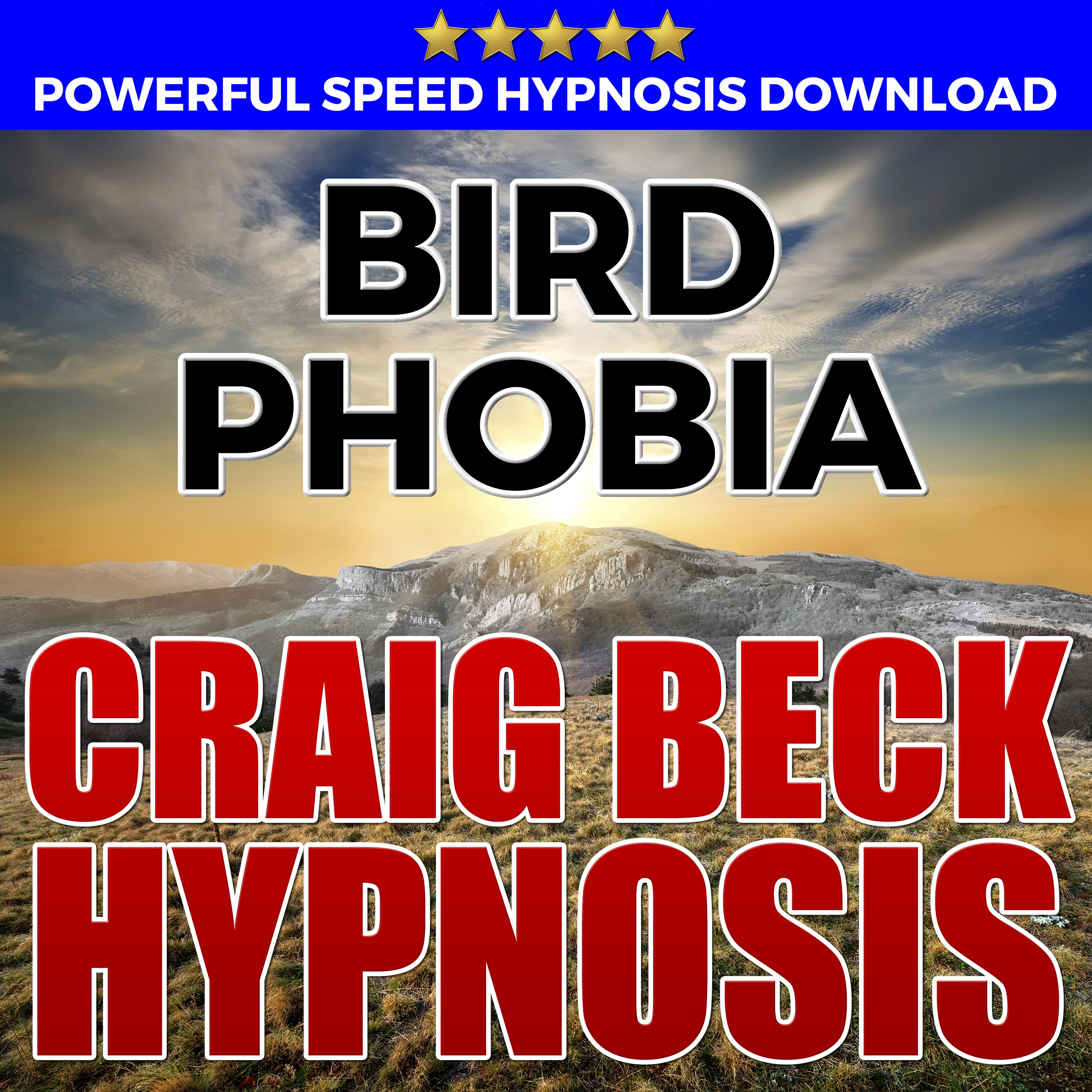 Bird Phobia: Hypnosis Downloads Audiobook by Craig Beck