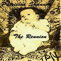 The Reunion  (Daniel McPherson Book 3) Audiobook by Patricia Shannon
