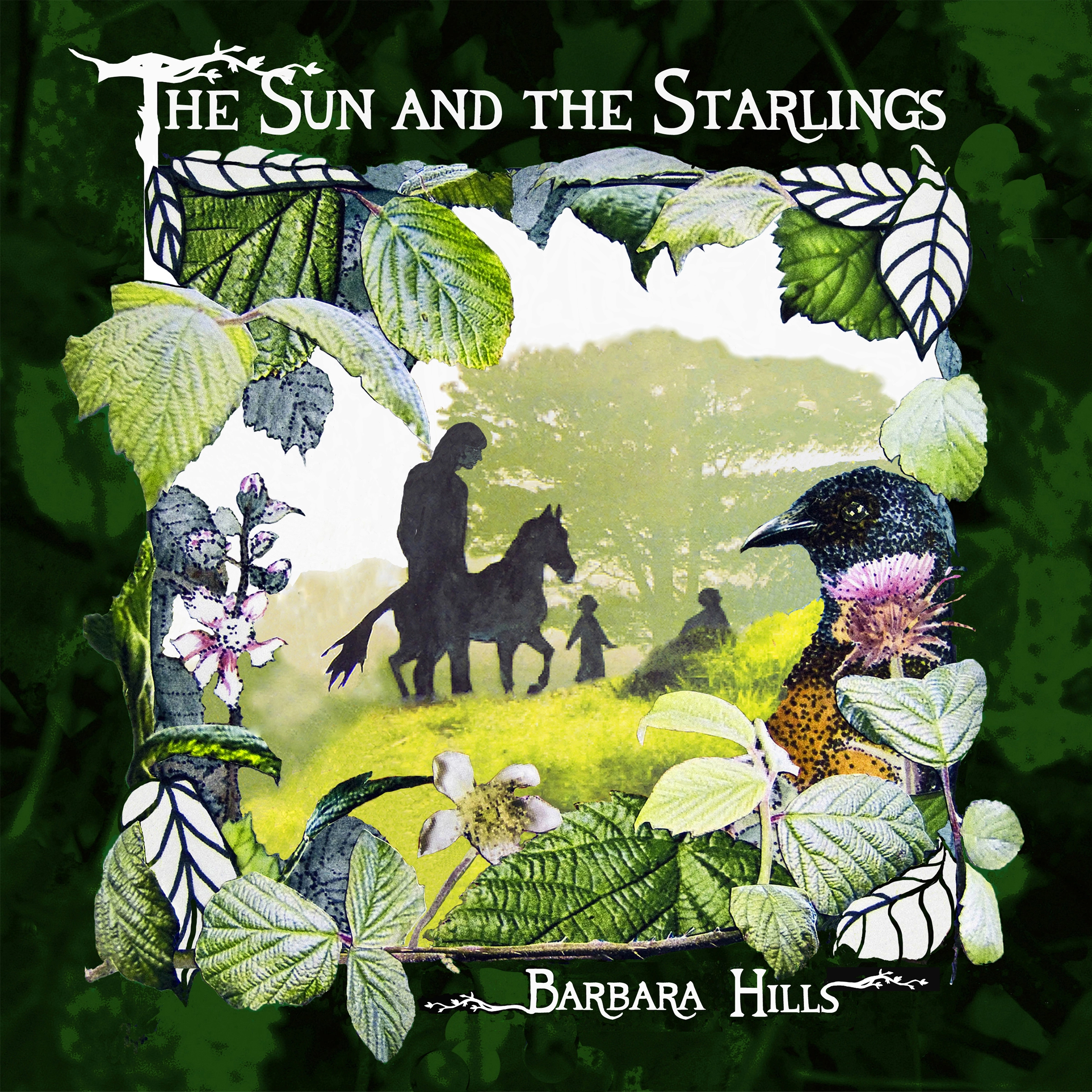 The Sun and the Starlings by Barbara Hills