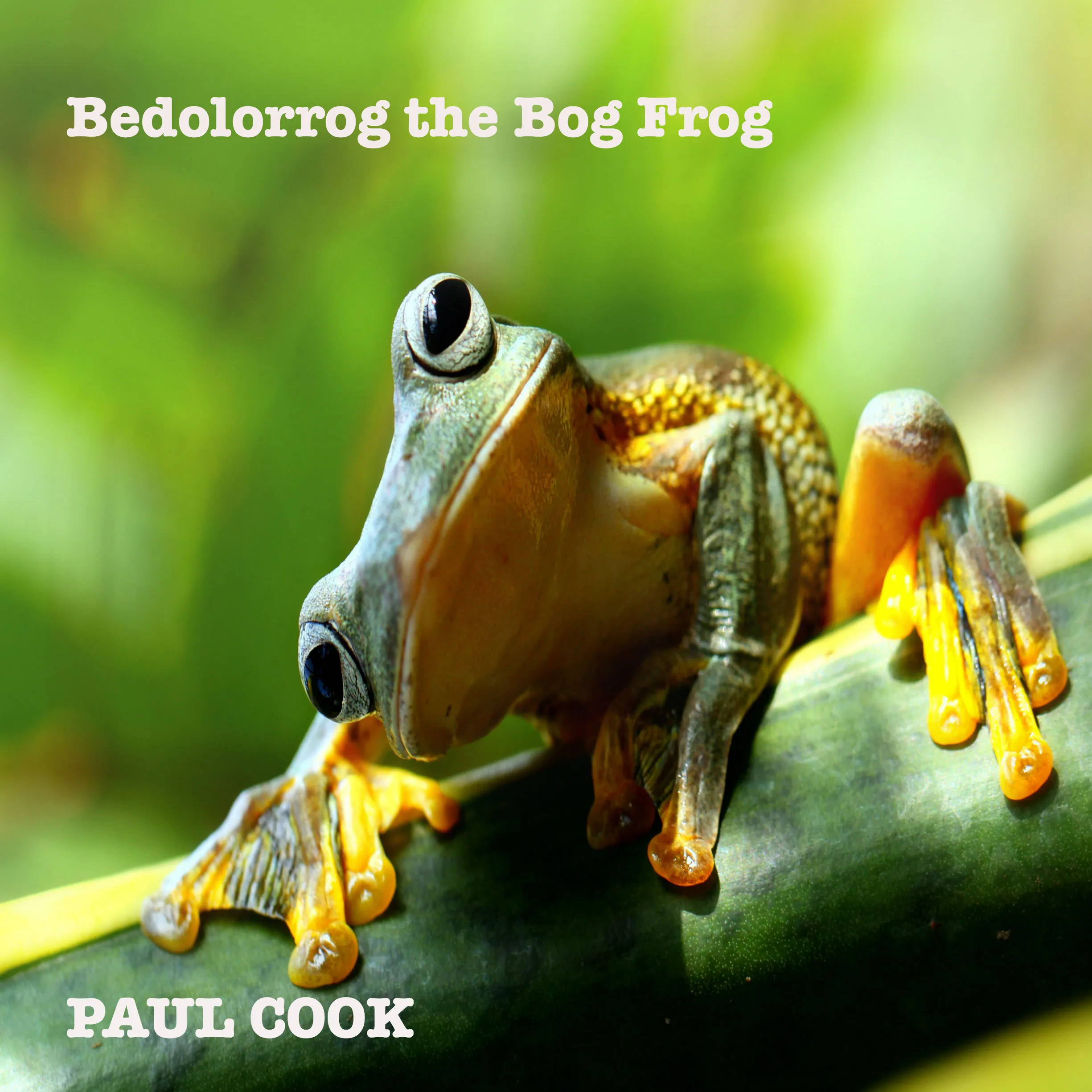 Bedolorrog the Bog Frog by Paul Cook Audiobook