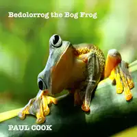 Bedolorrog the Bog Frog Audiobook by Paul Cook