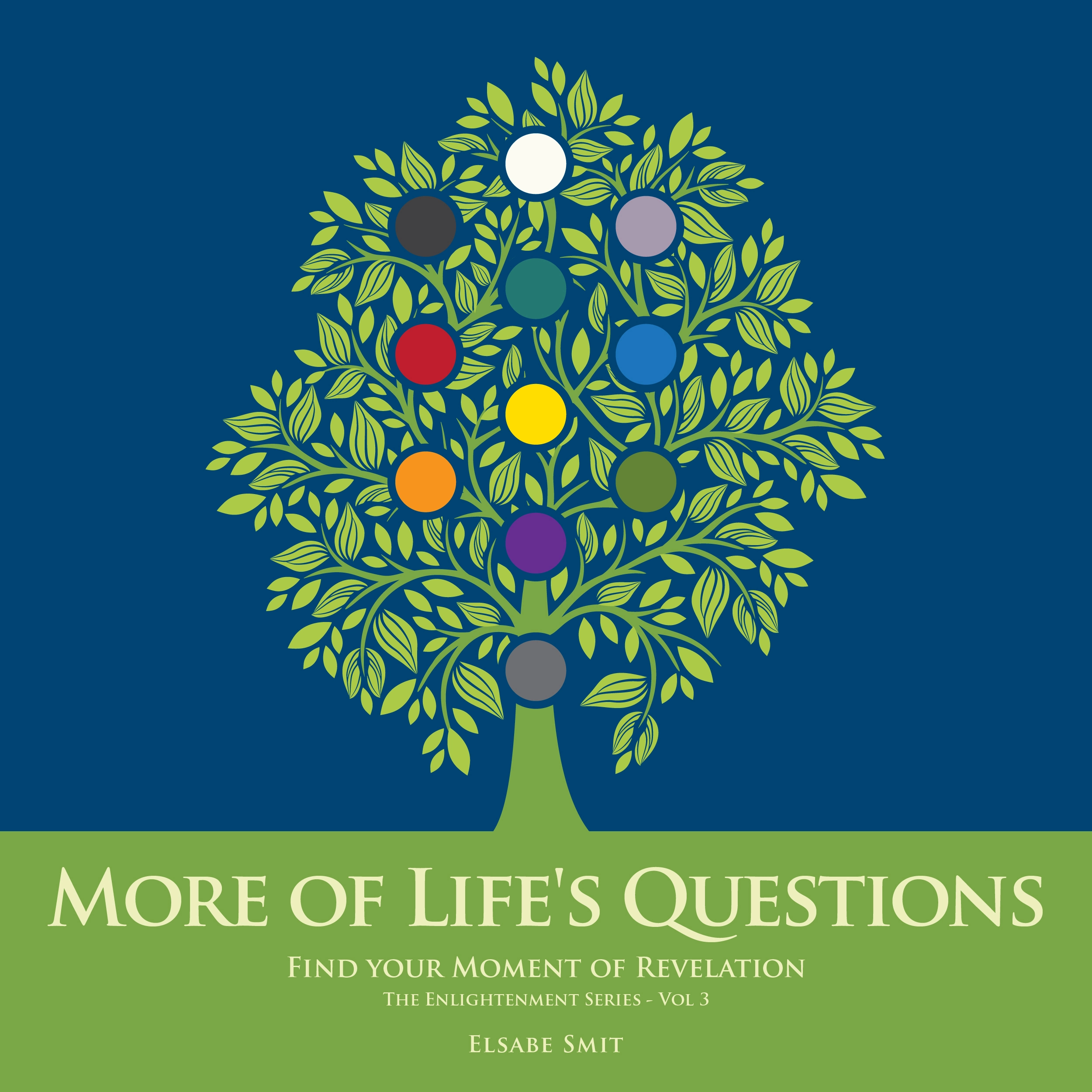 More of Life's Questions: Find Your Moment of Revelation (The Enlightenment Series Vol 3) Audiobook by Elsabe Smit
