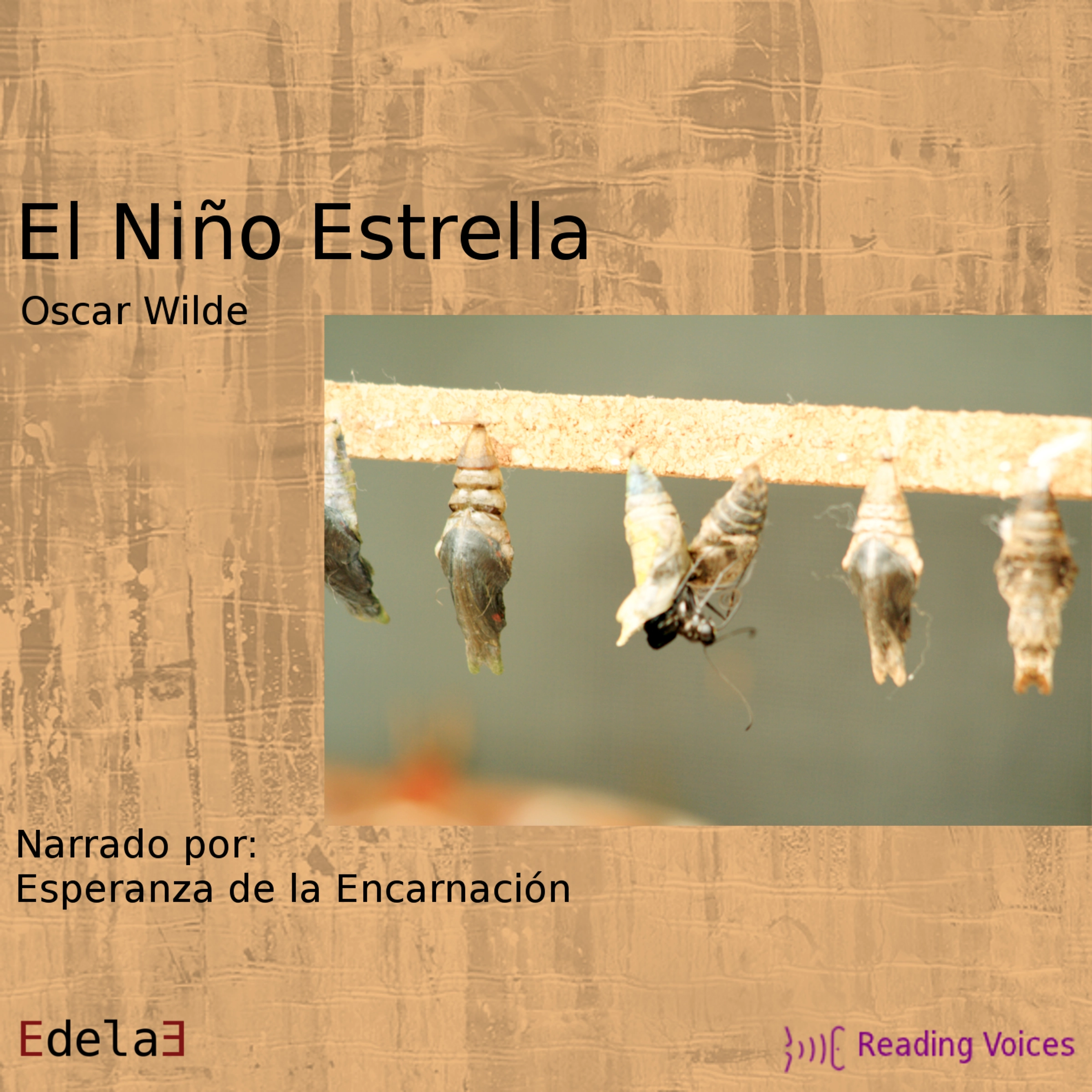 El niño estrella by Oscar Wilde Audiobook