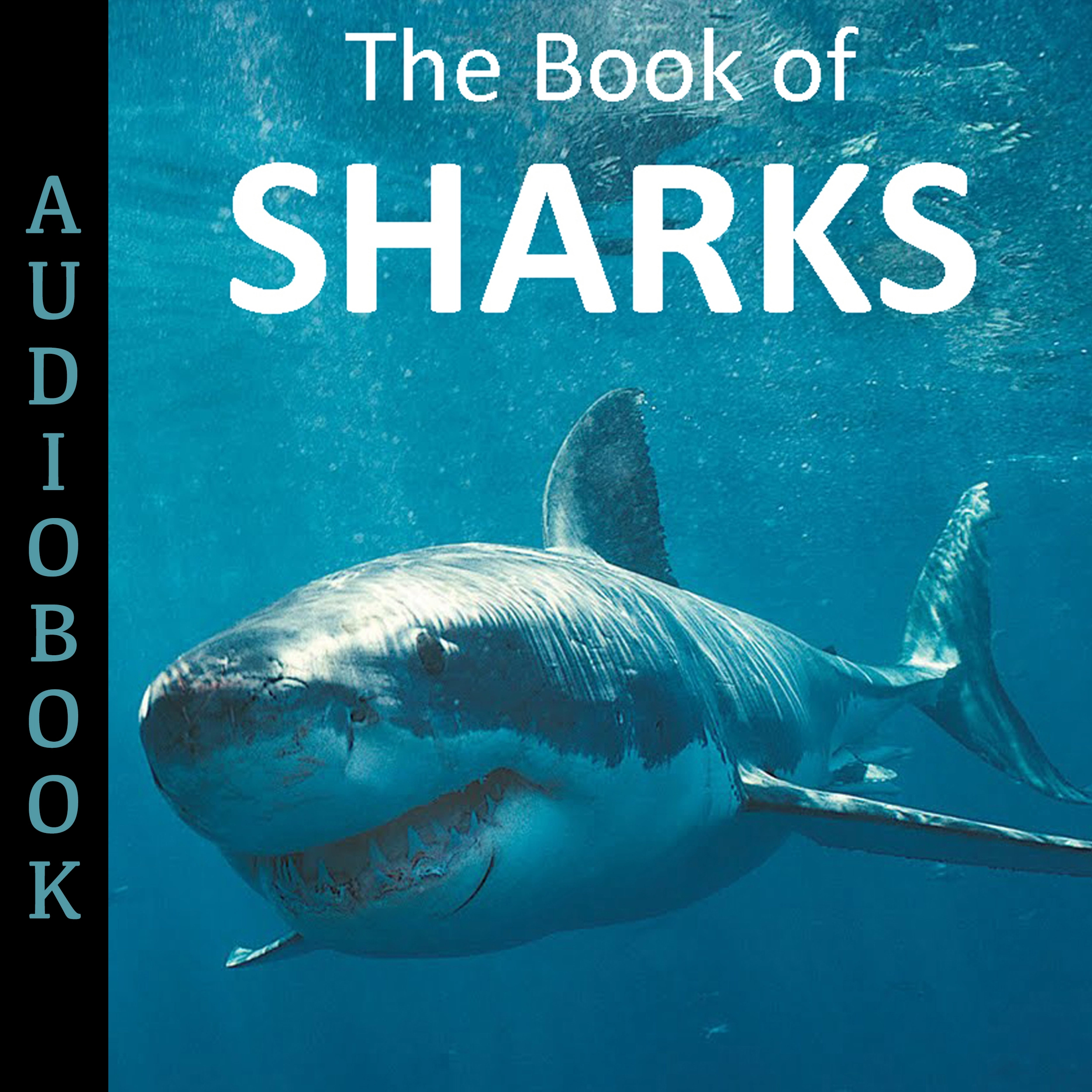 The Book of Sharks by My Ebook Publishing House