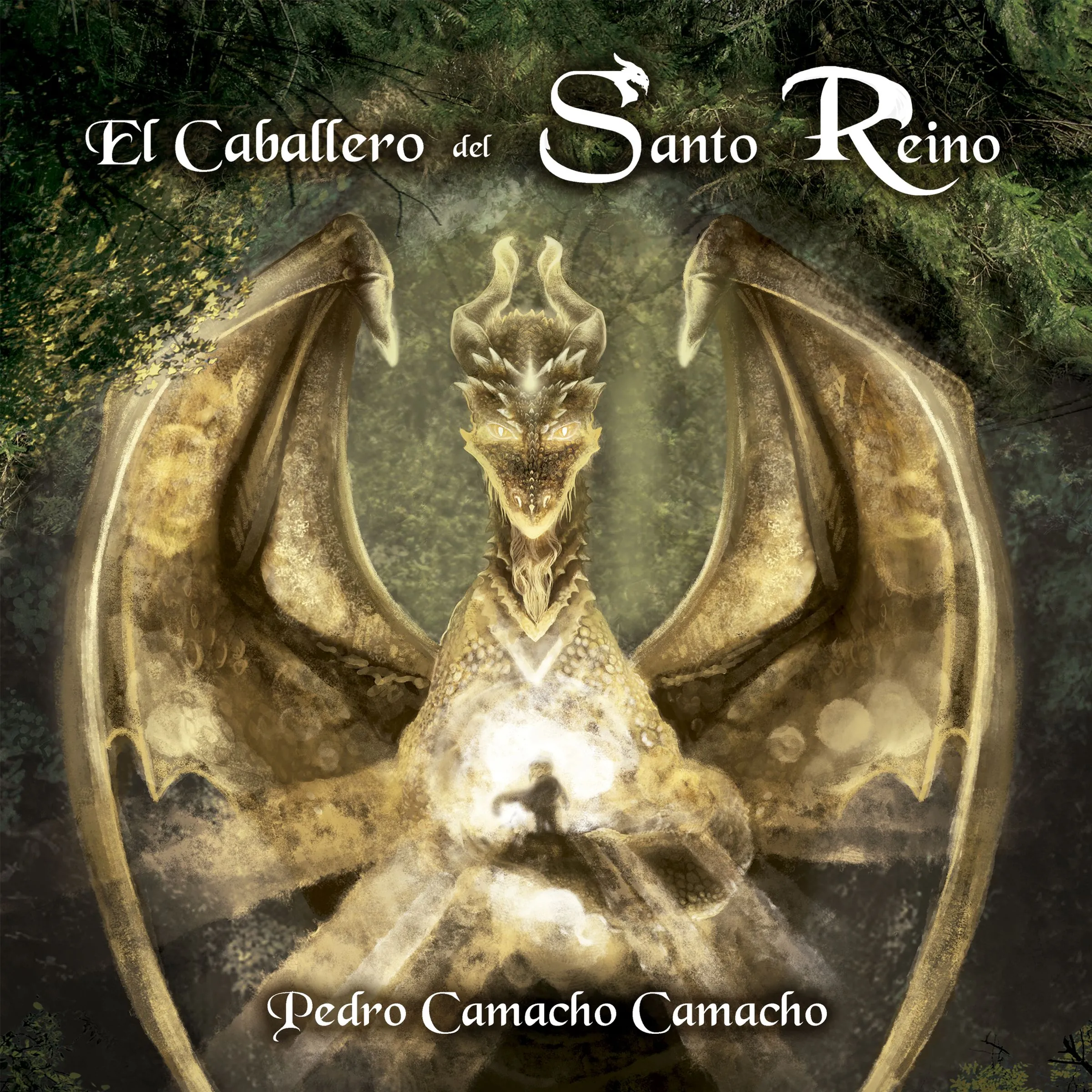 El Caballero del Santo Reino by Pedro Camacho Camacho