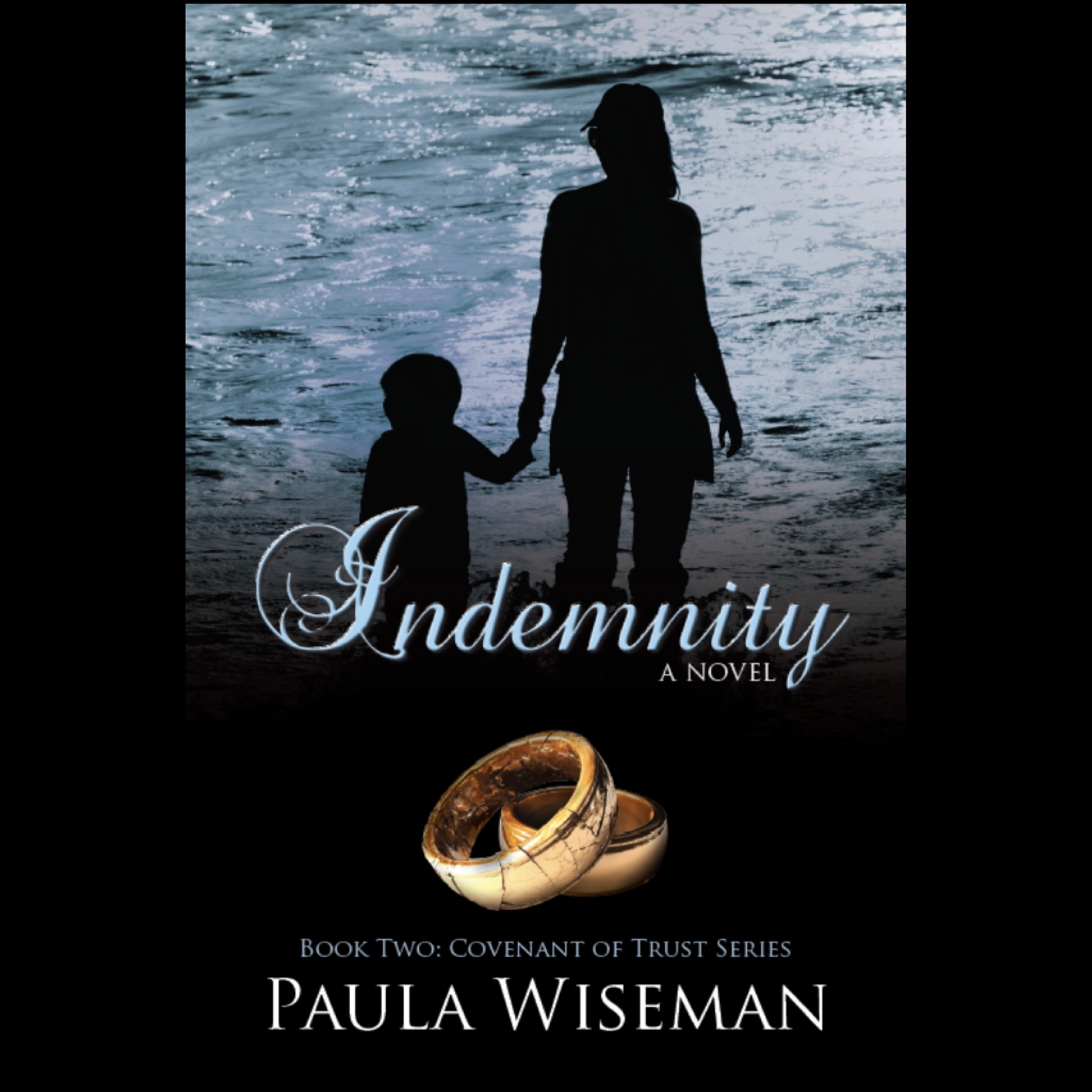 Indemnity Audiobook by Paula Wiseman