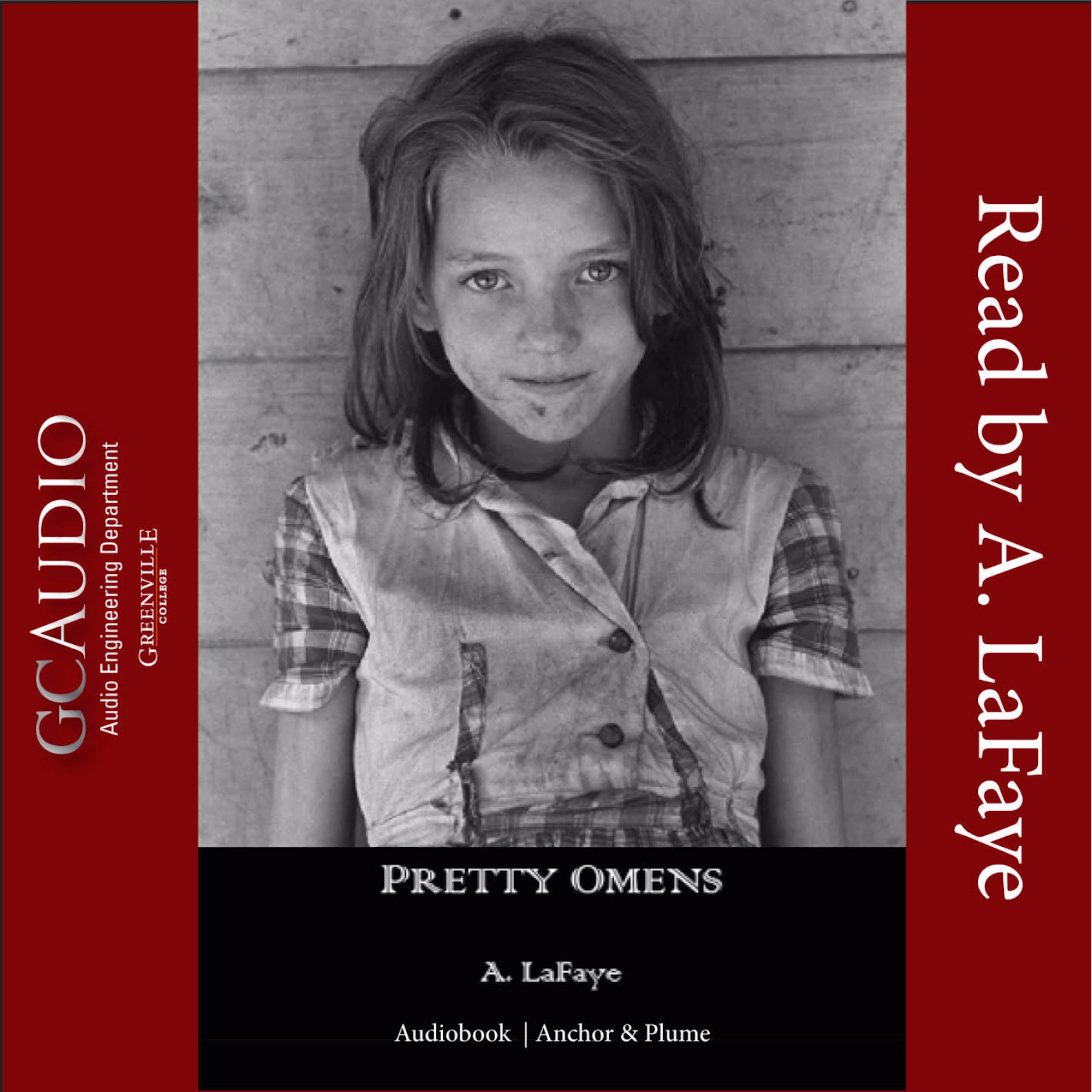 Pretty Omens by A. LaFaye Audiobook