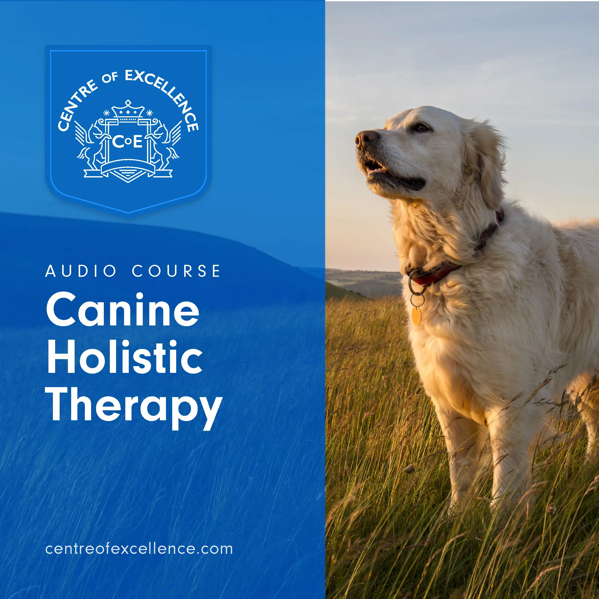 Canine Holistic Therapy Audiobook by Centre of Excellence