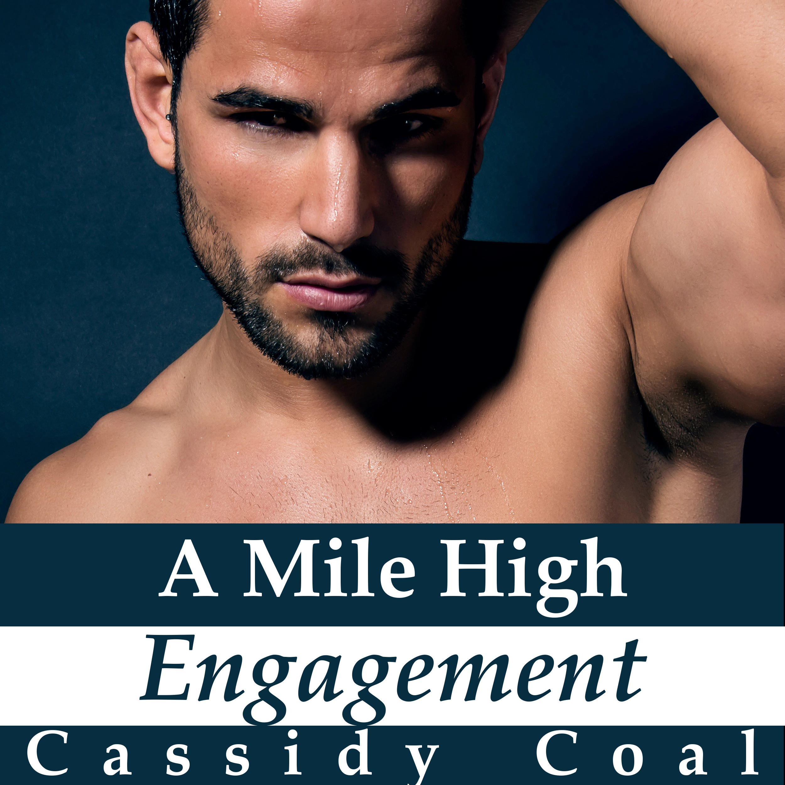 A Mile High Engagement (A Mile High Romance Book 6) by Cassidy Coal Audiobook