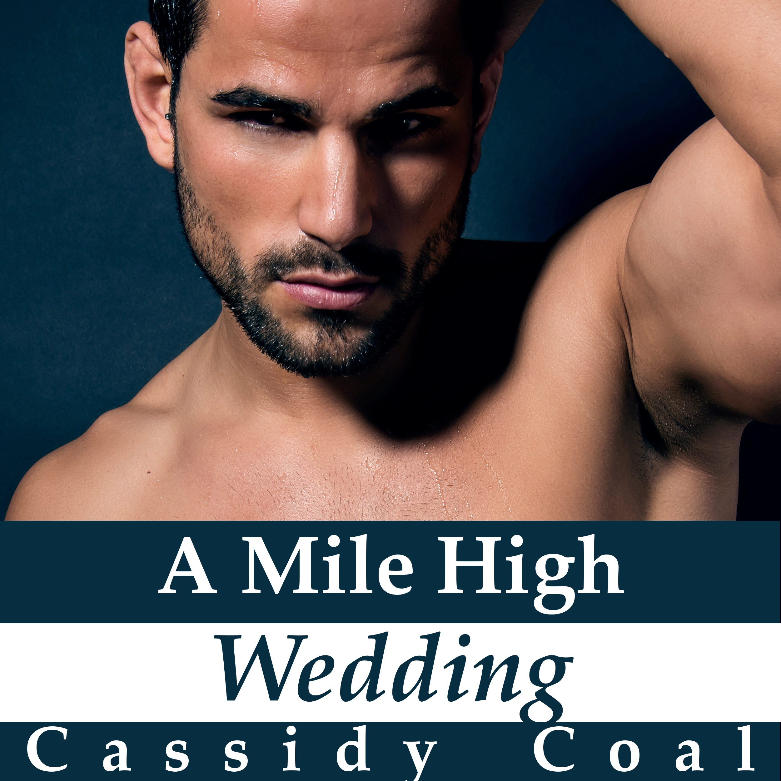 A Mile High Wedding (A Mile High Romance Book 8) Audiobook by Cassidy Coal