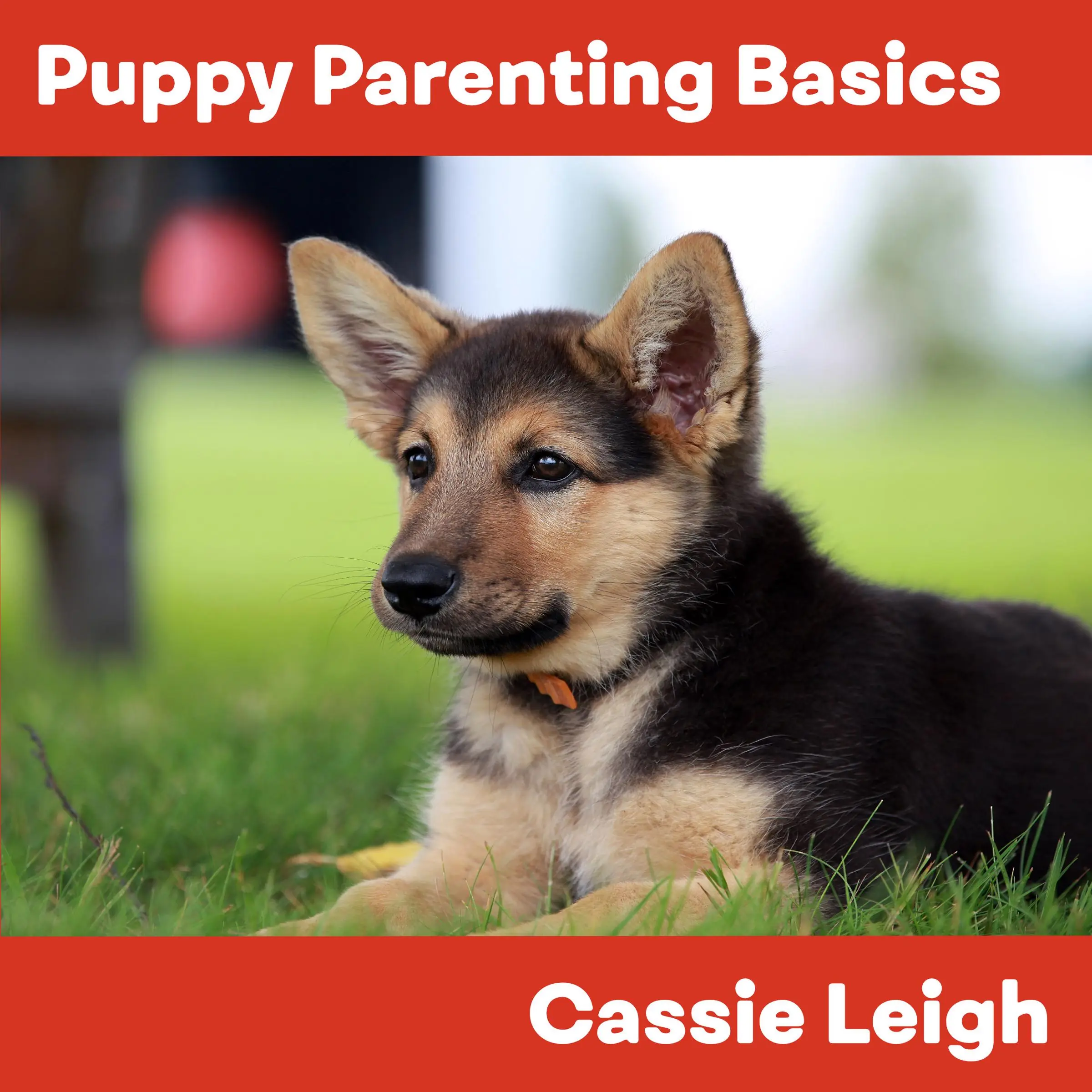 Puppy Parenting Basics by Cassie Leigh Audiobook