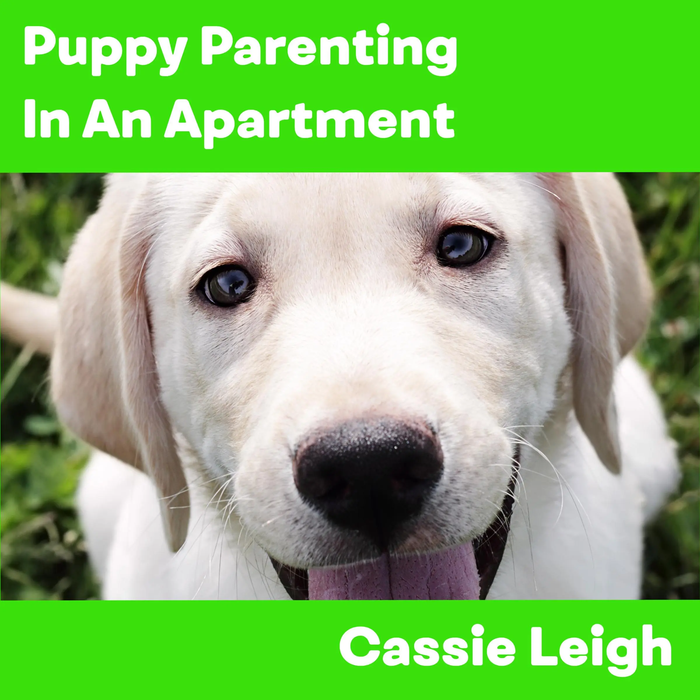 Puppy Parenting in an Apartment by Cassie Leigh